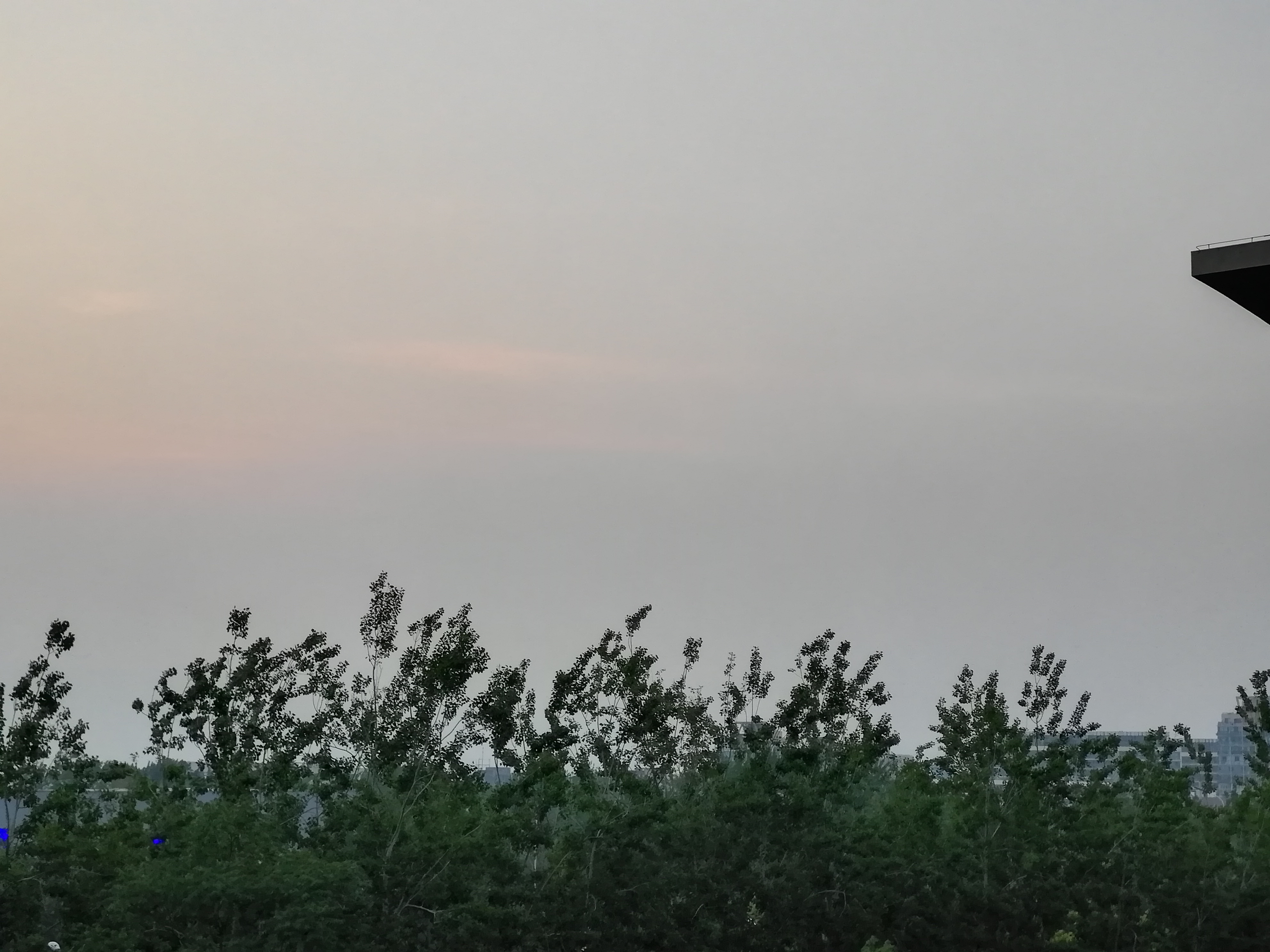 IMG_20200501_190838.jpg