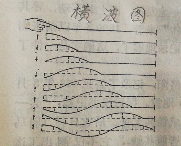 1911231046b092494003ed2b7c.jpg.thumb (1).jpg