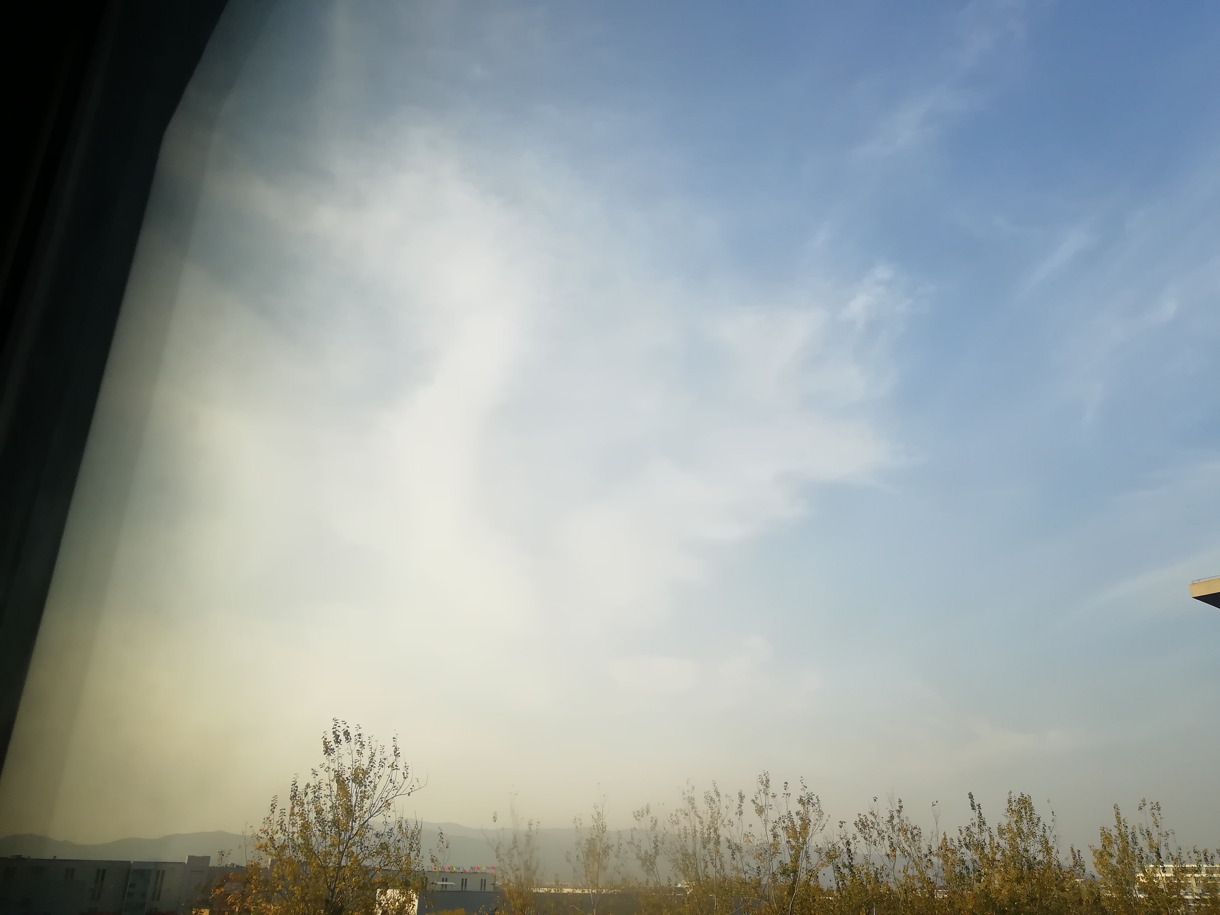 IMG_20201113_154309.jpg
