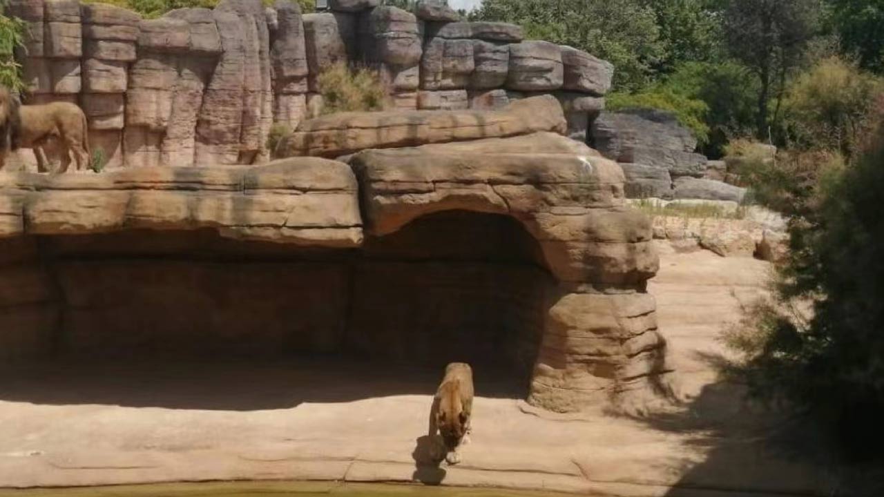 1607454016821_210_1280x720.jpg
