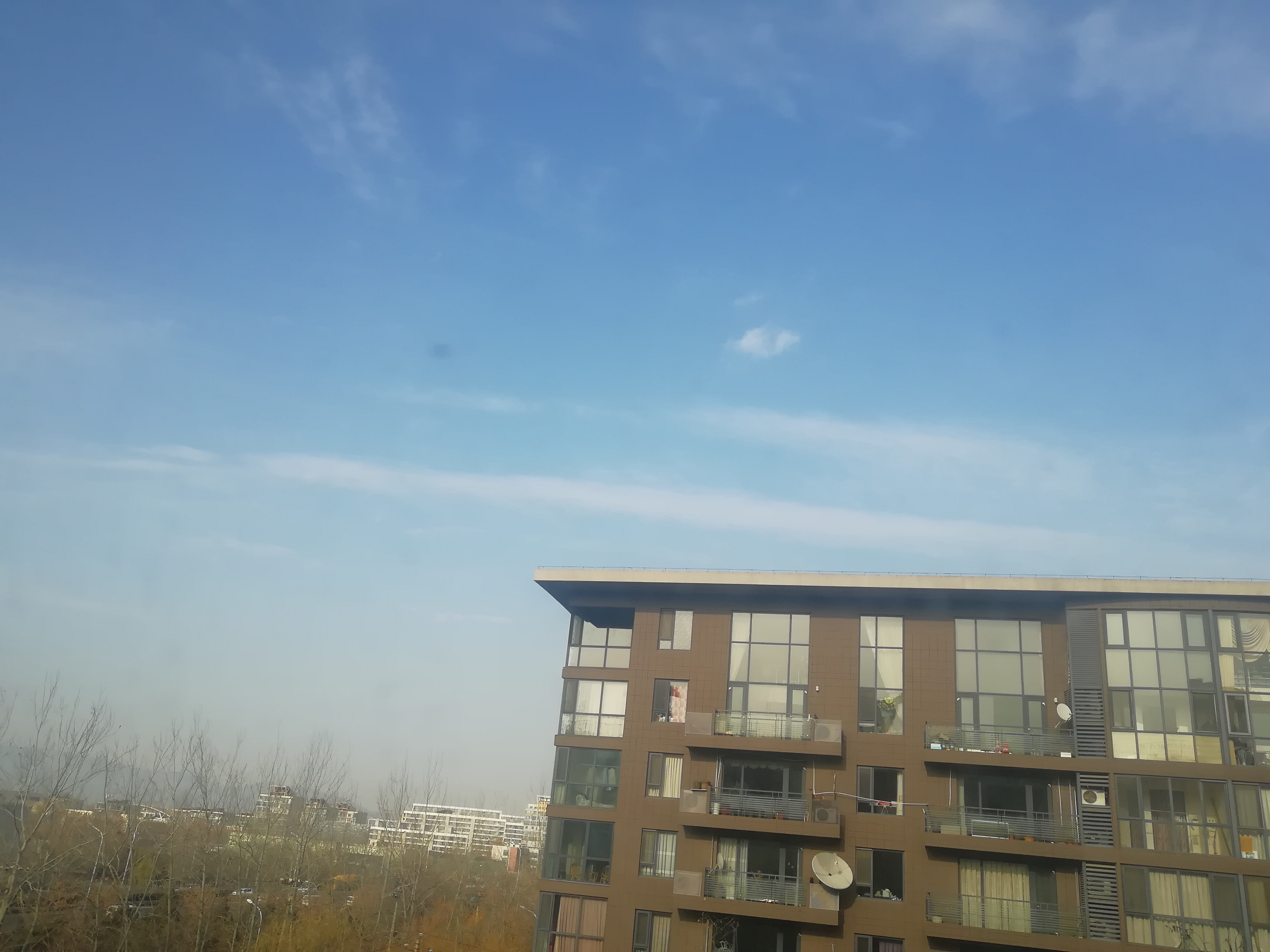 IMG_20201209_123939.jpg