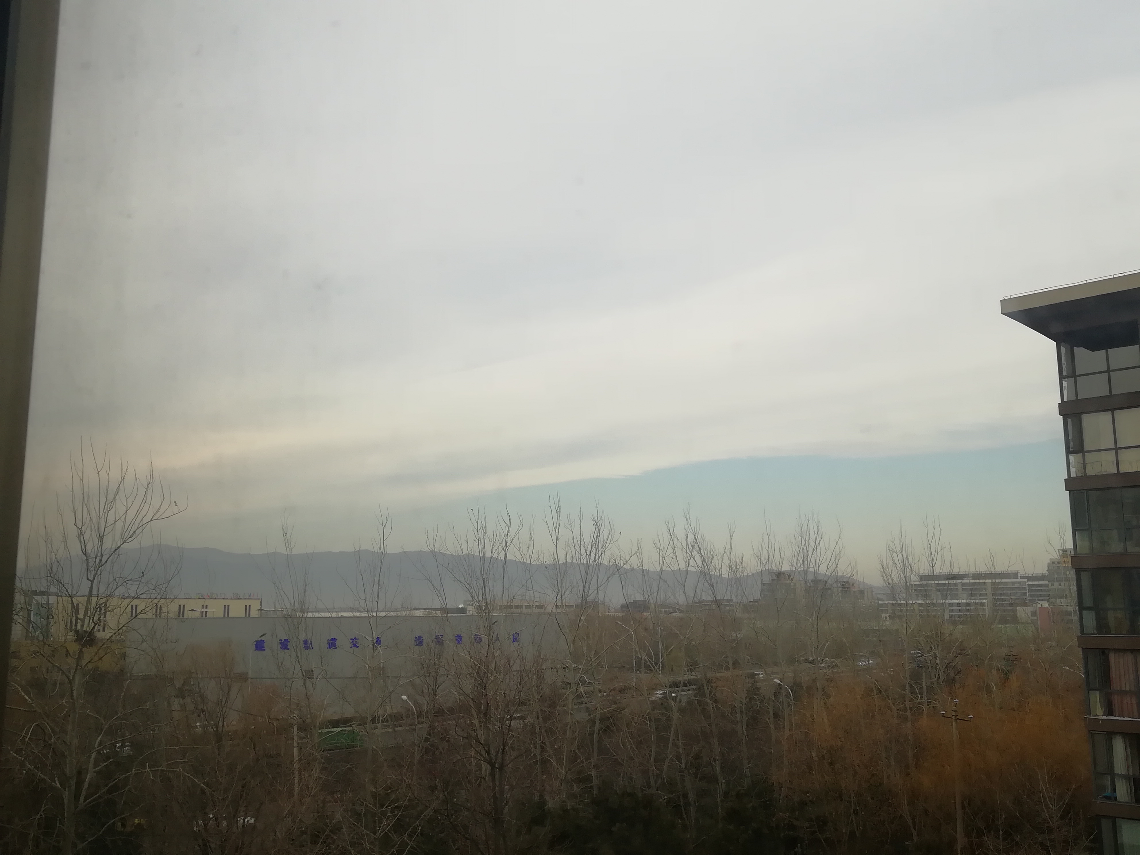 IMG_20201217_121324.jpg