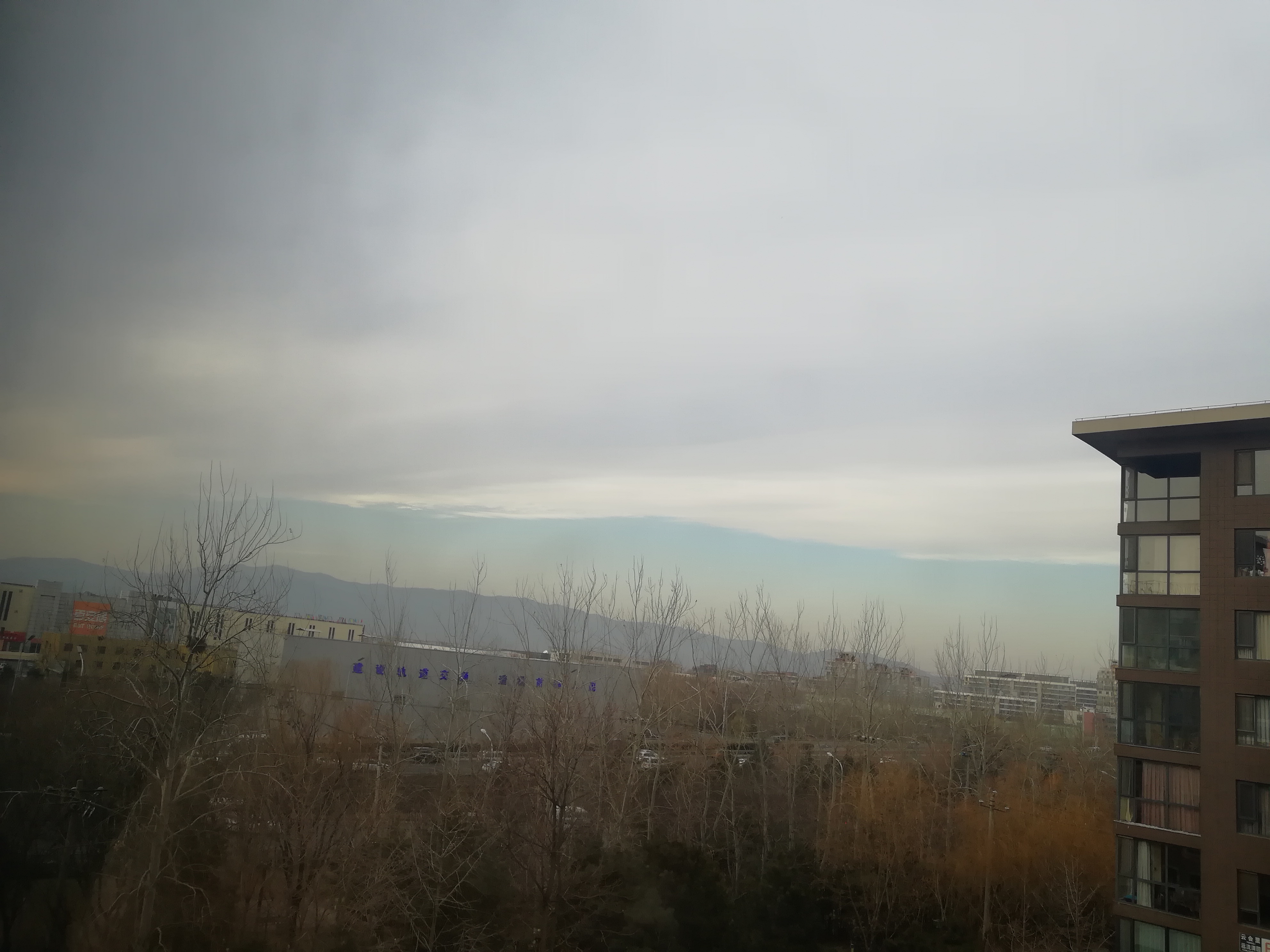 IMG_20201217_150650.jpg