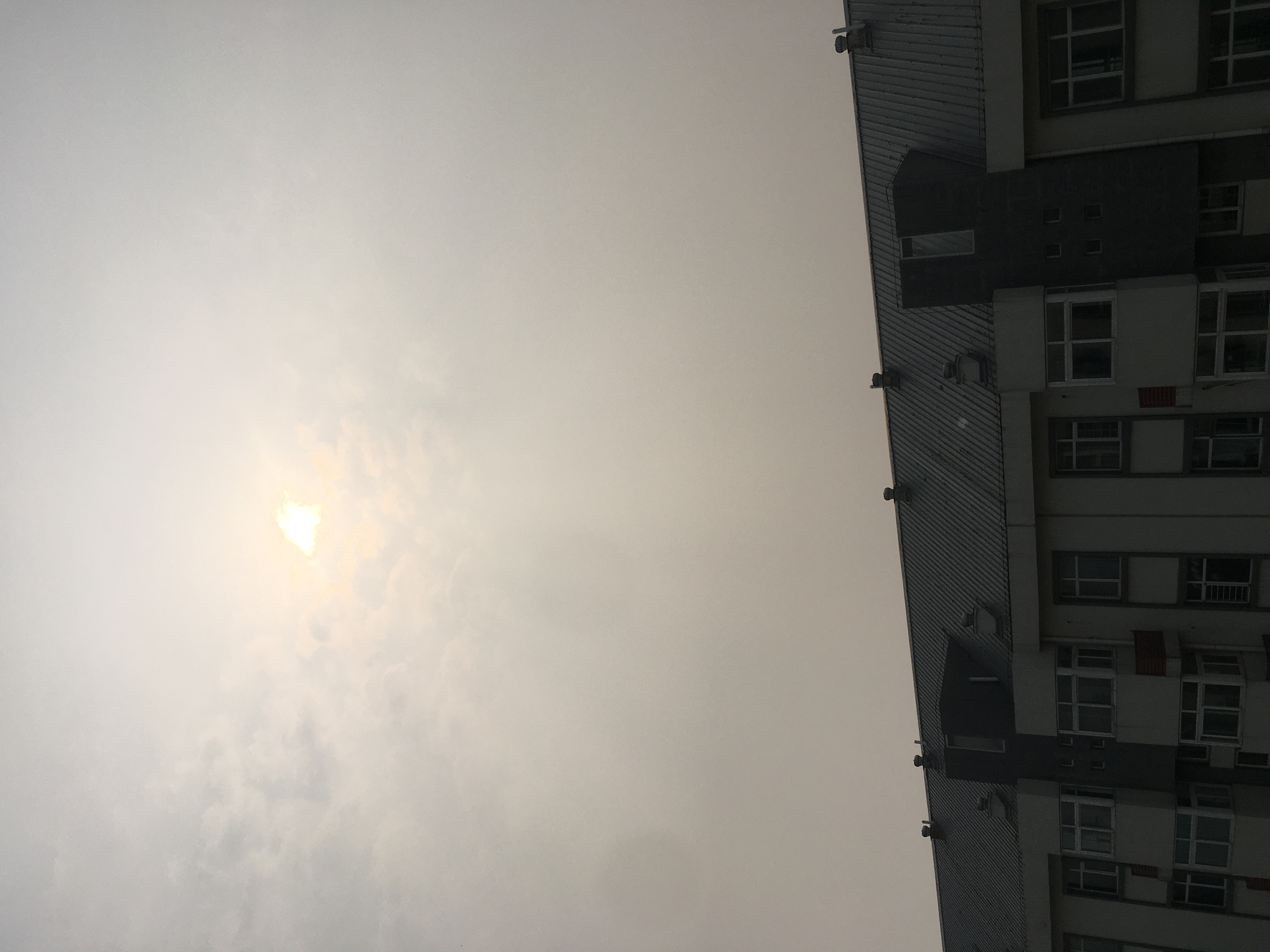 EA1AD0B5-1250-4764-B453-9DF2780832DF.jpeg