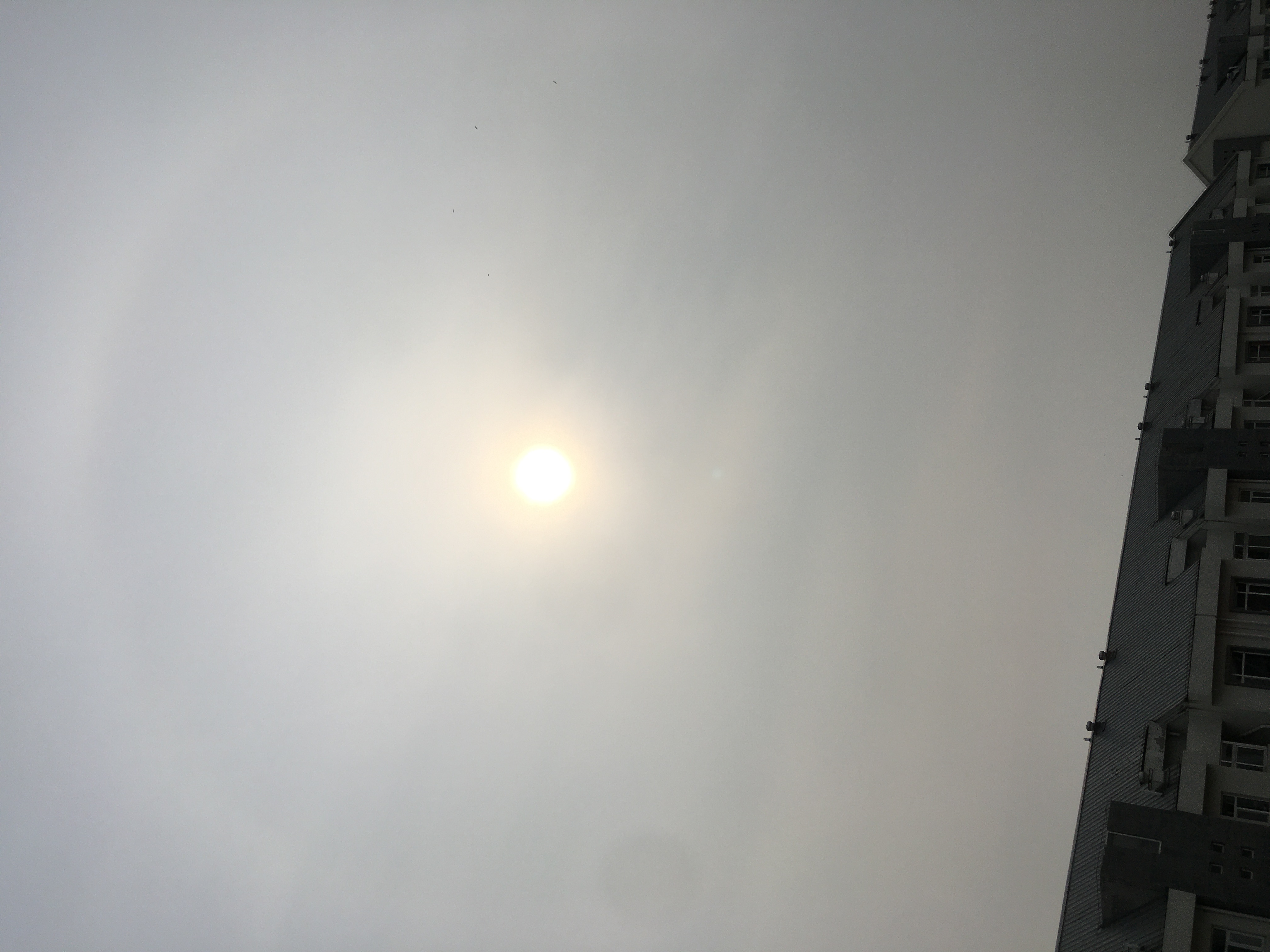 0D83723A-78DE-4D19-B33D-AB0536A22109.jpeg