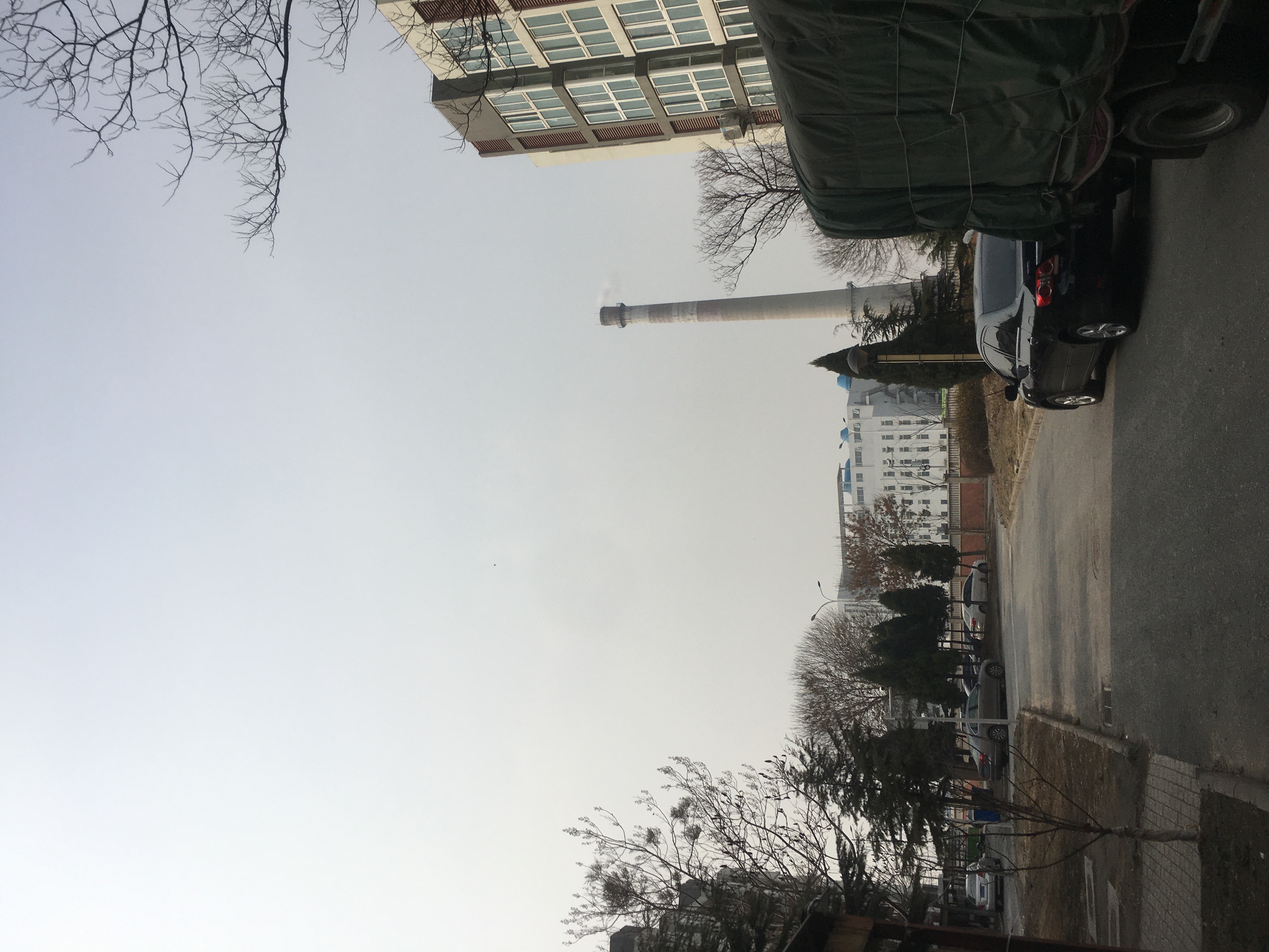 CD7A78DC-2CCE-49D5-830B-78F4F07ABB76.jpeg