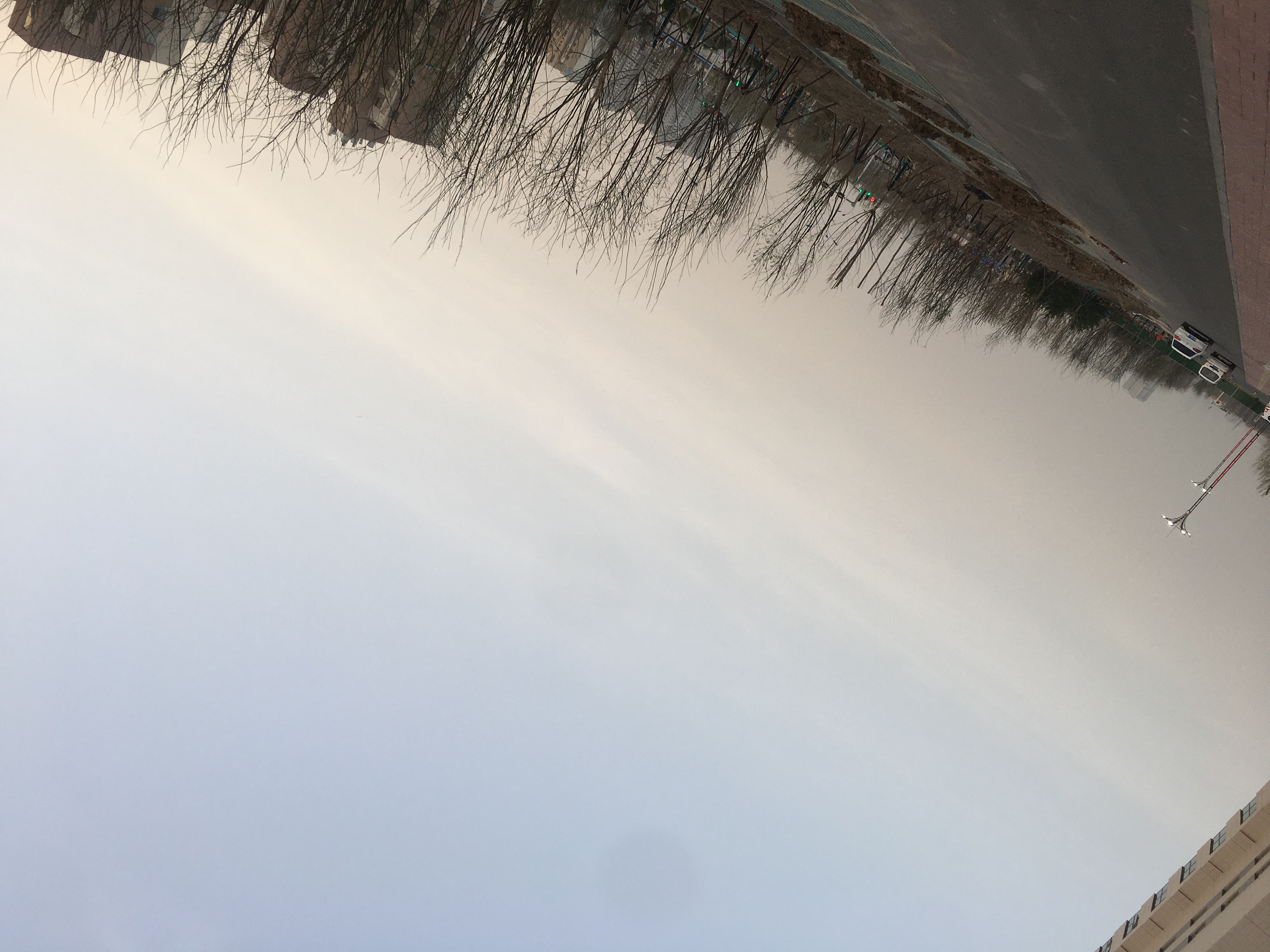 ED5B813C-D0AA-4DAB-85E6-BBE72DEA09F8.jpeg
