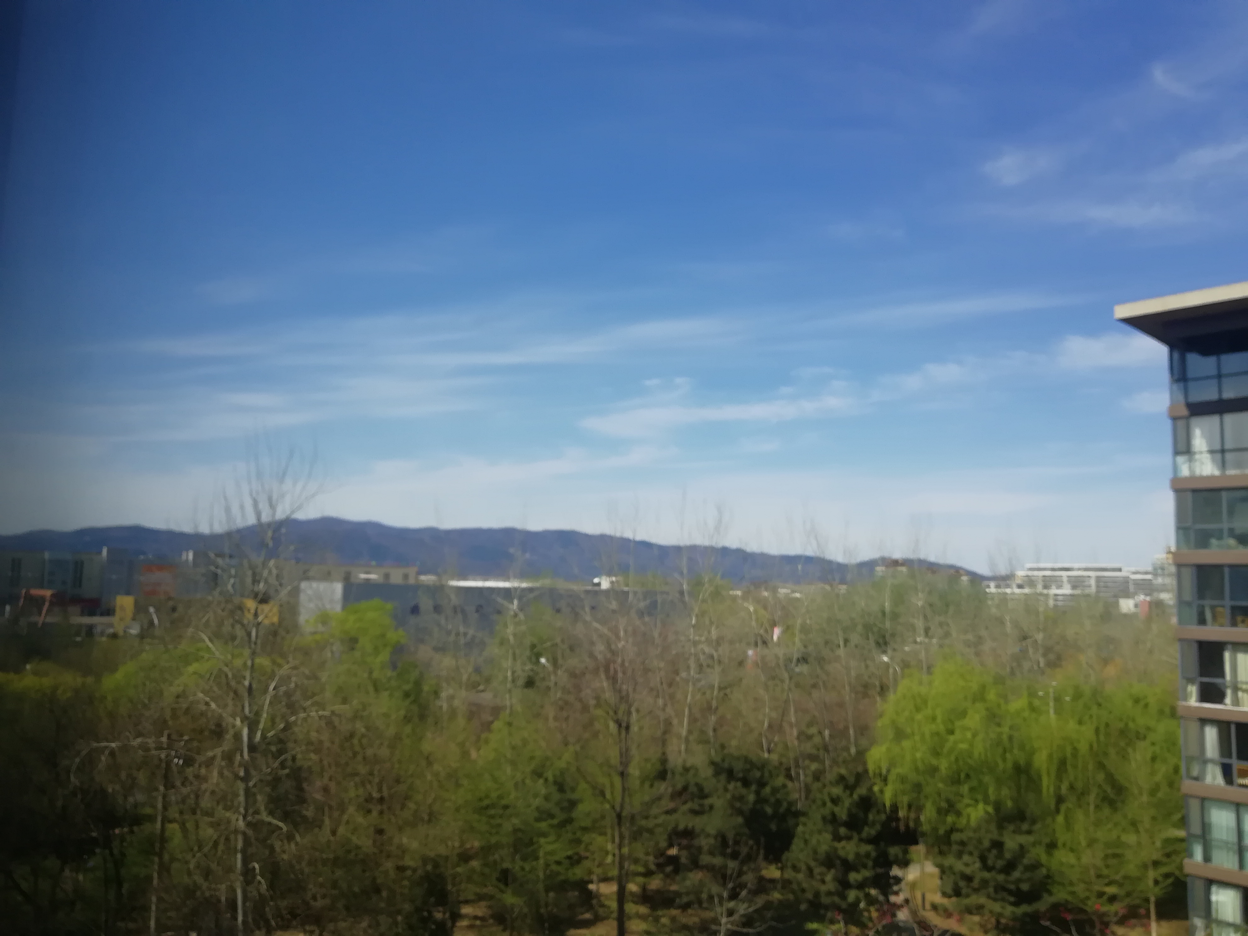 IMG_20210403_132611.jpg