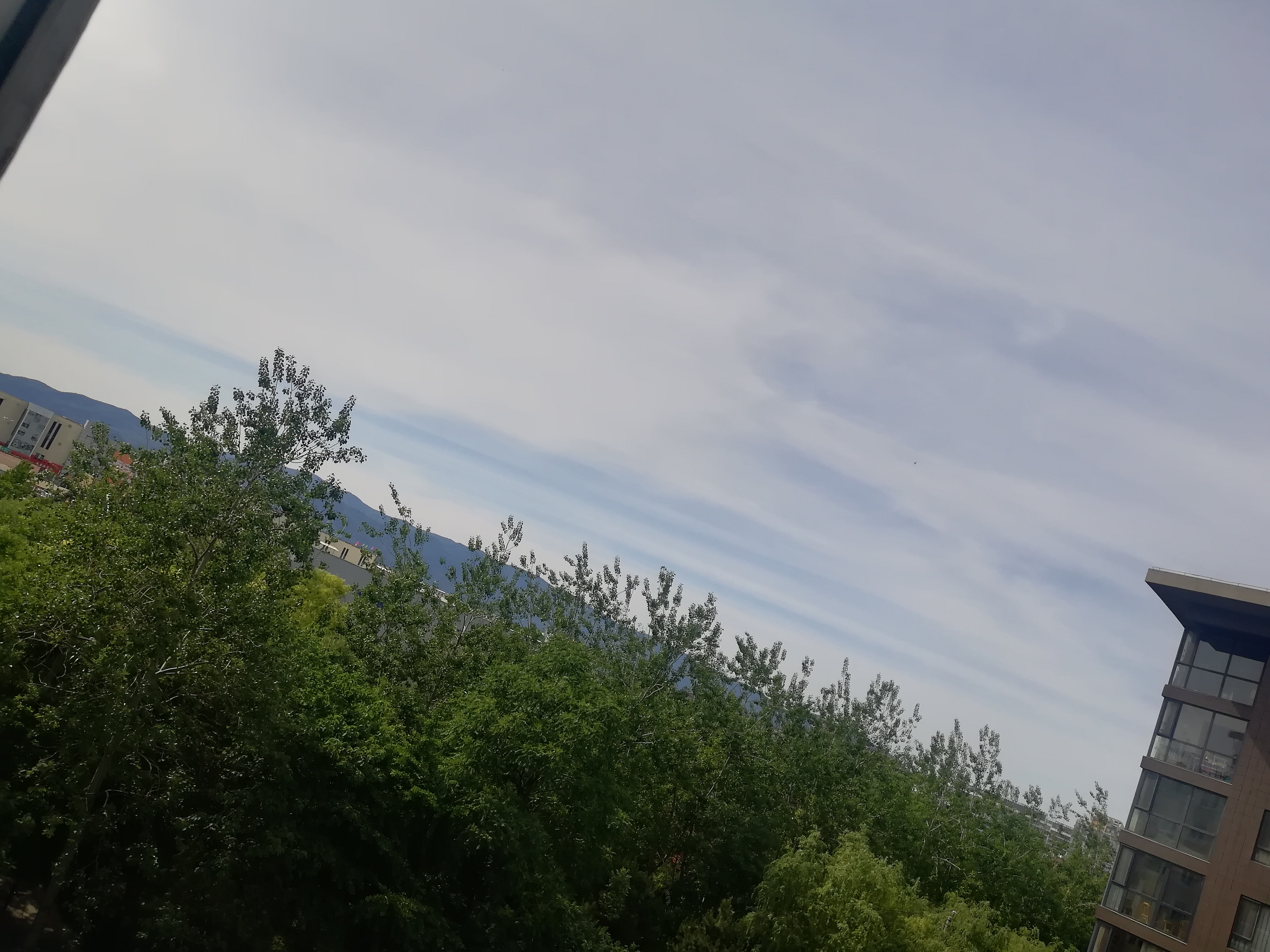IMG_20210516_151942.jpg