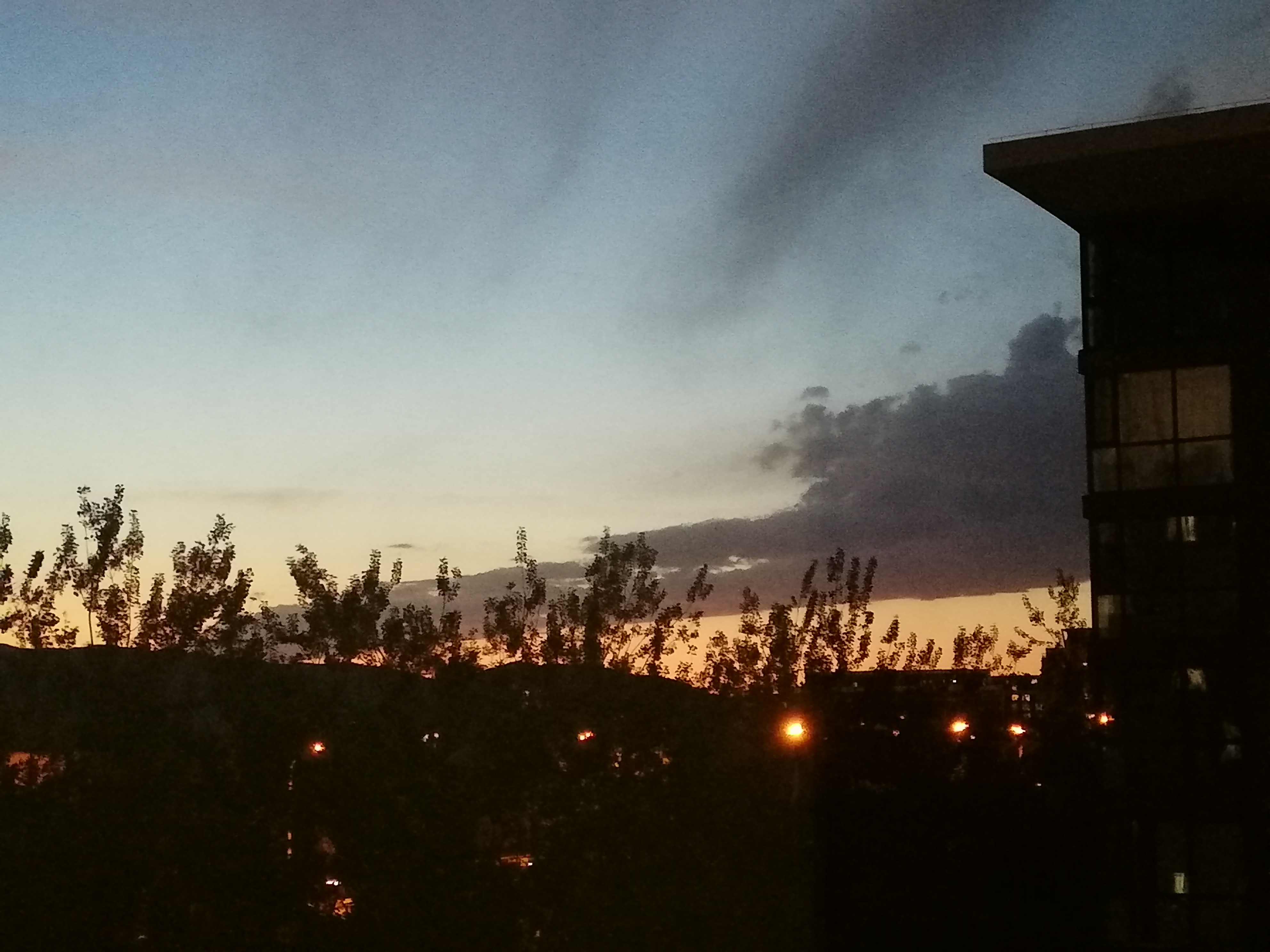 IMG_20210605_201631.jpg