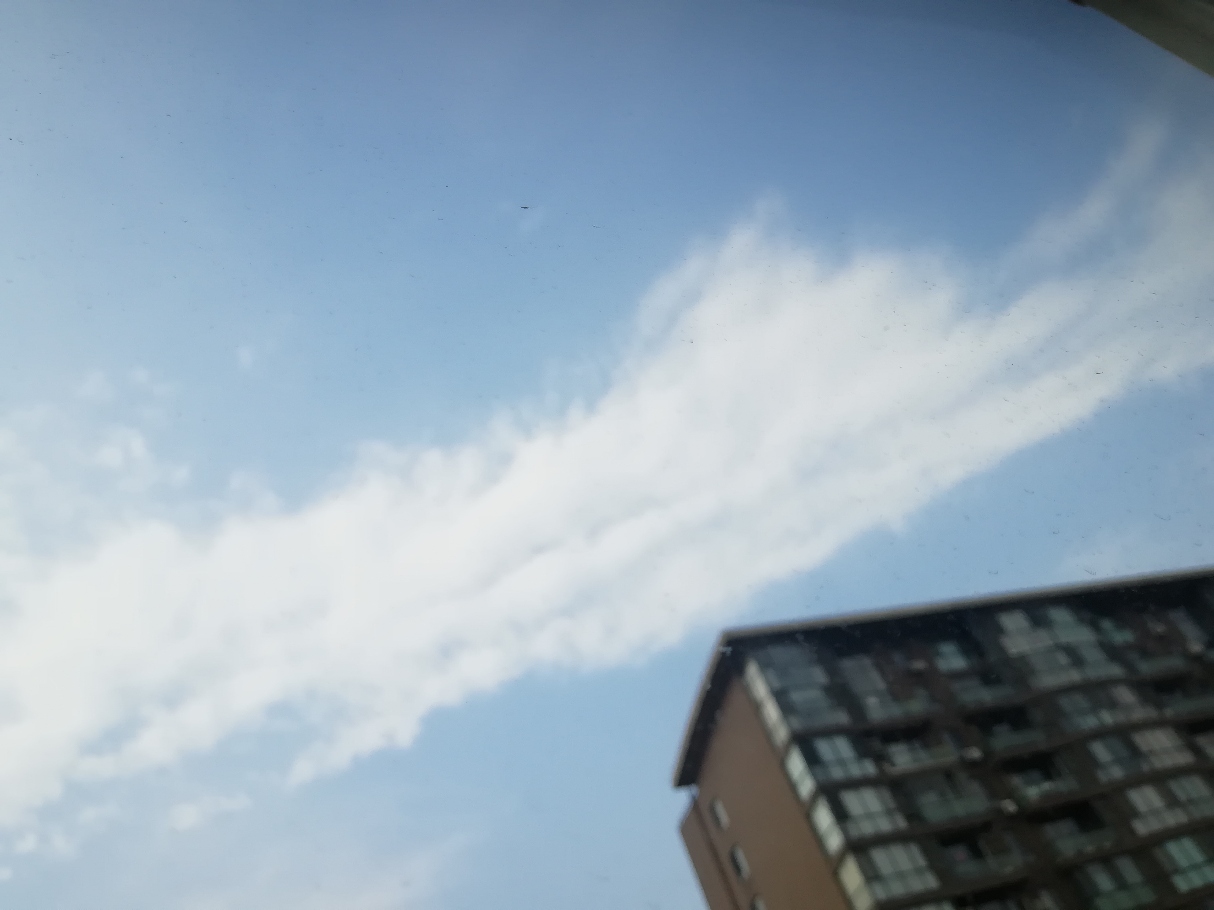IMG_20210607_162010.jpg