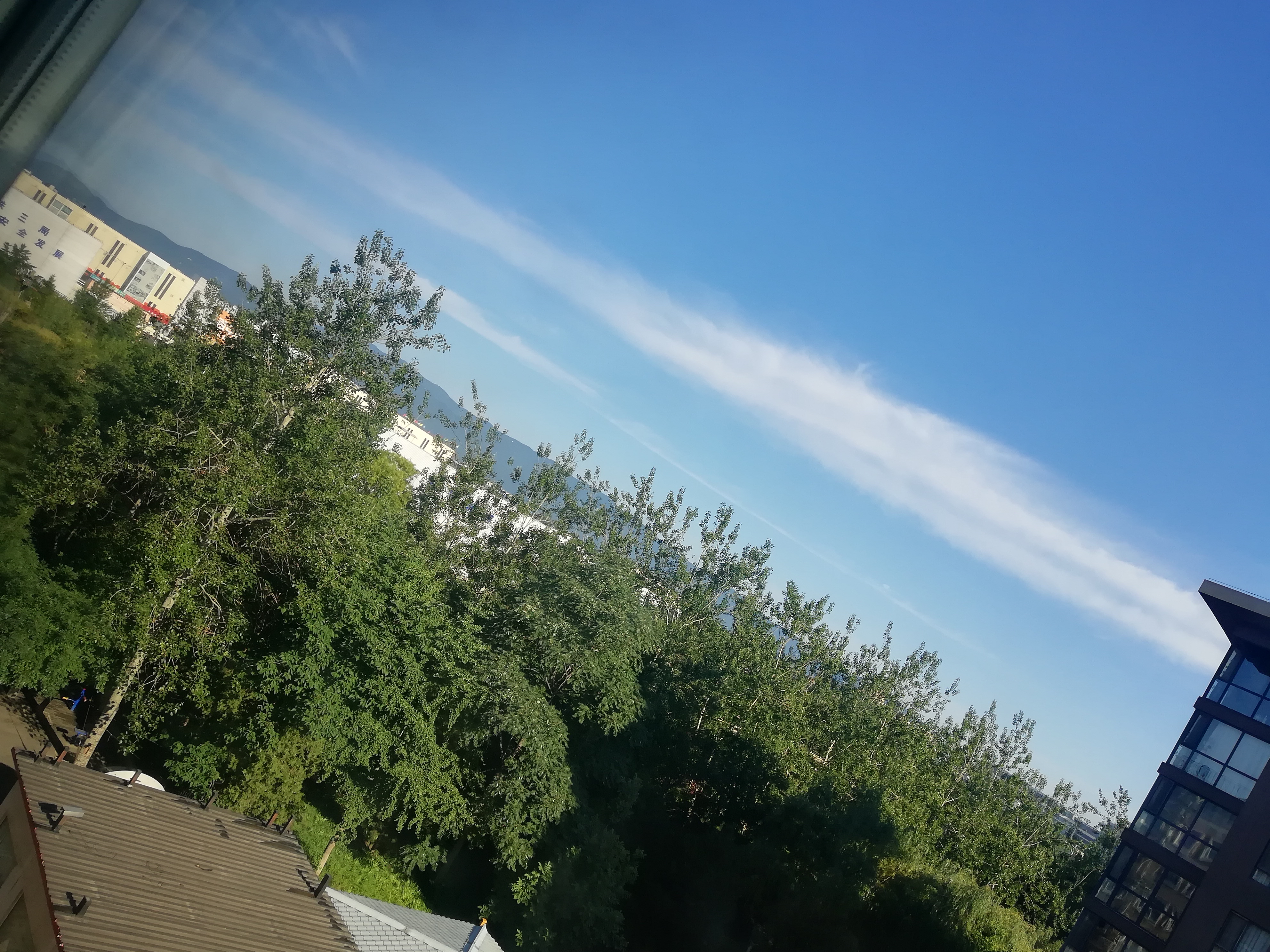IMG_20210610_072808.jpg