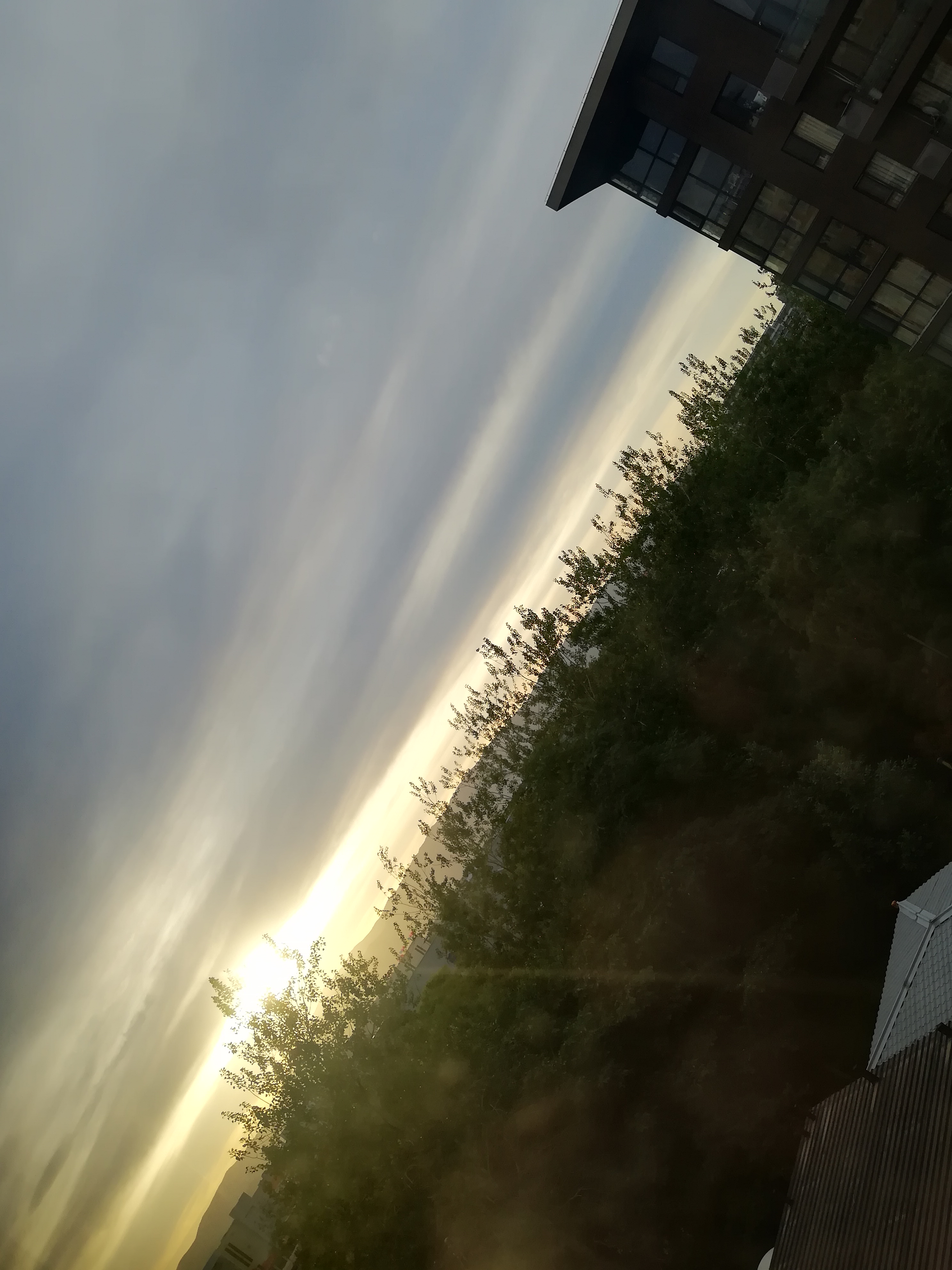 IMG_20210611_185953.jpg