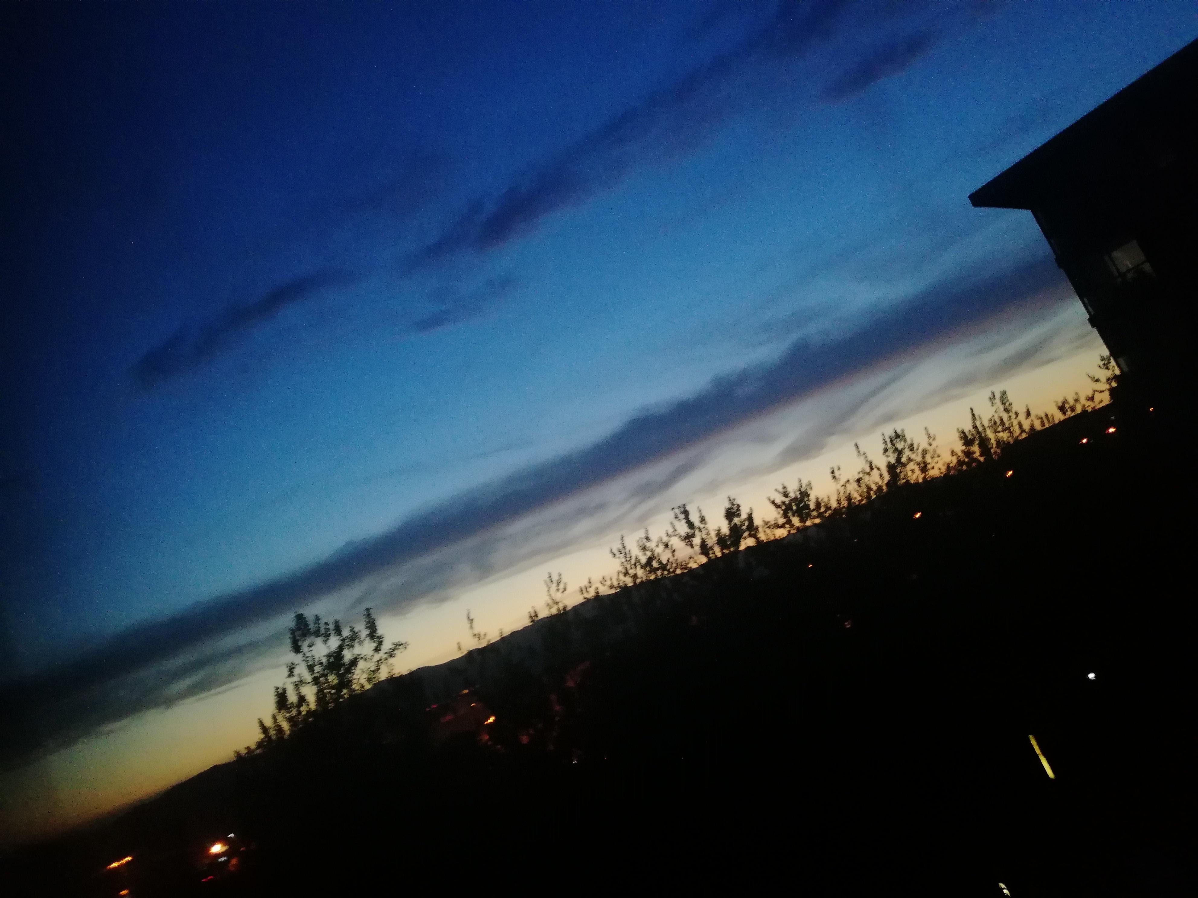 IMG_20210611_201201.jpg