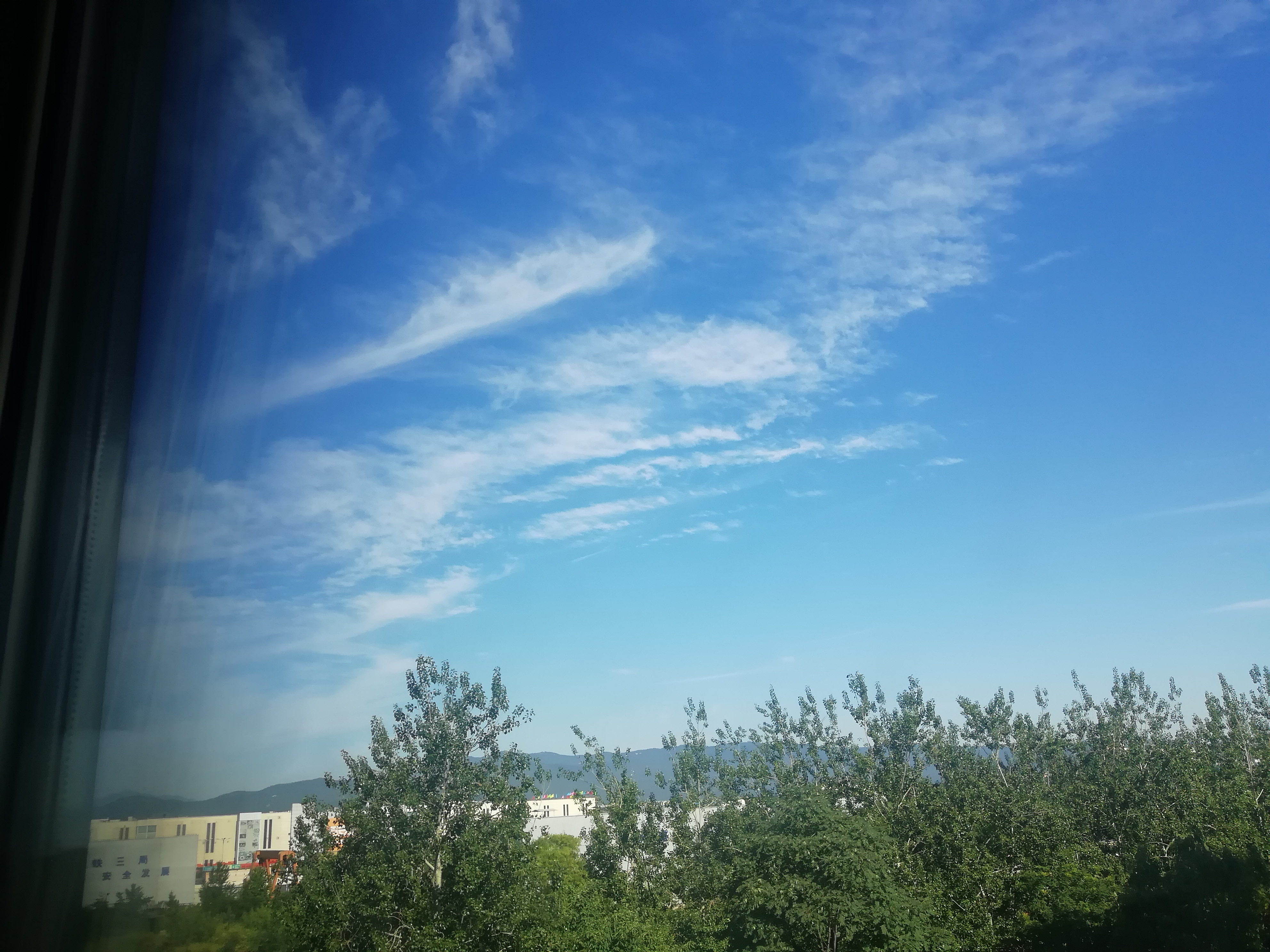 IMG_20210620_082804.jpg
