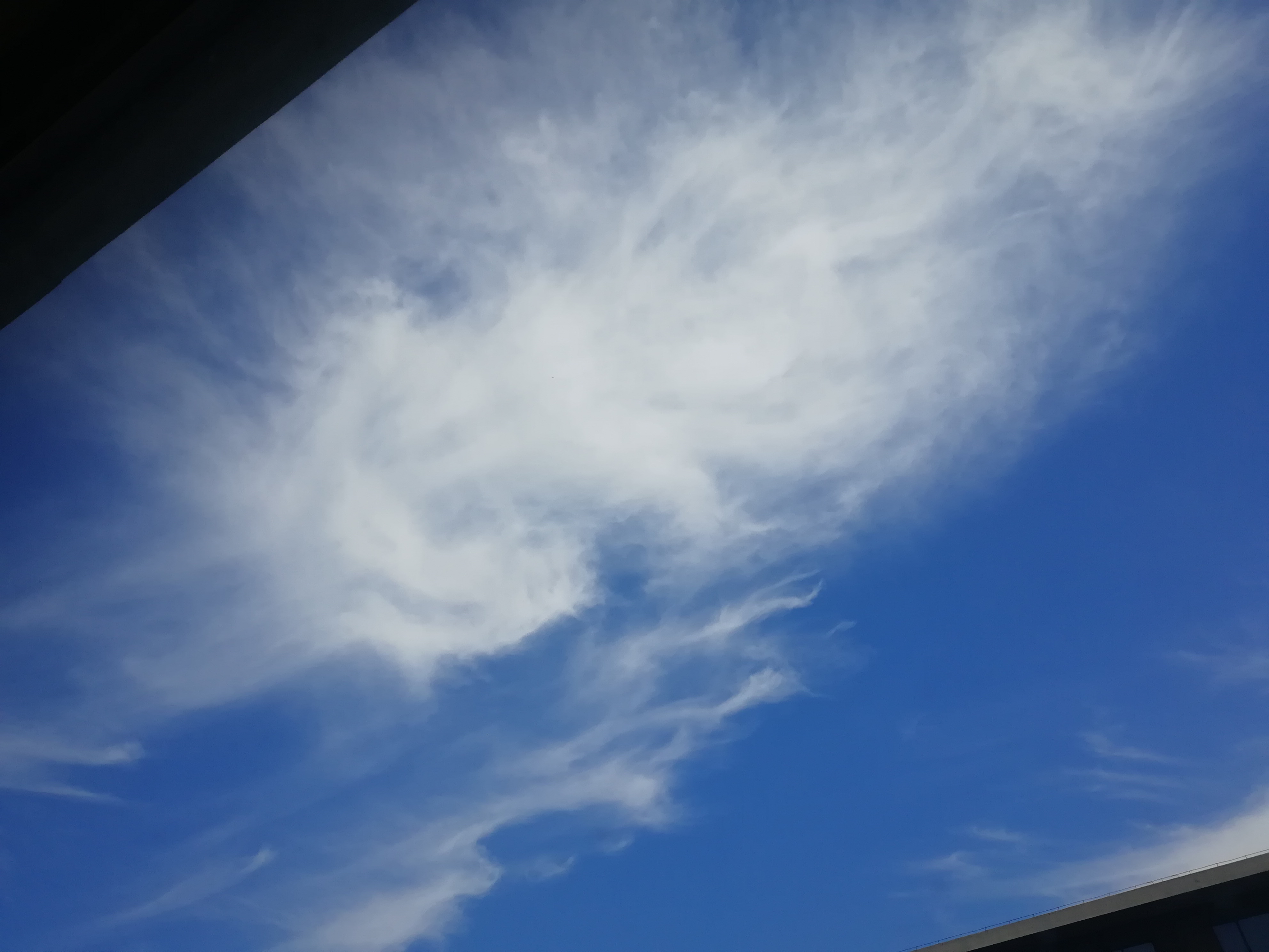 IMG_20210620_101048.jpg