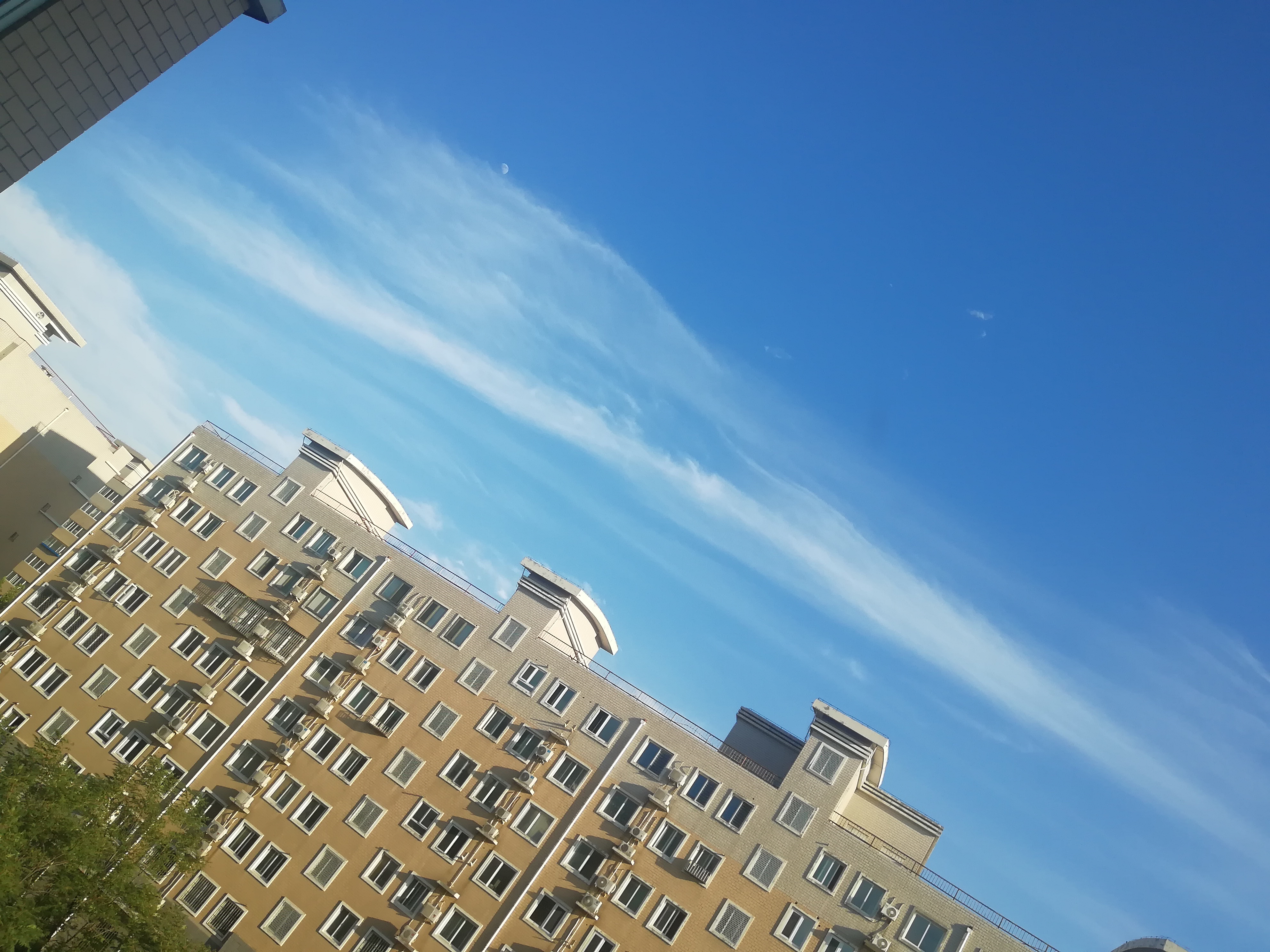 IMG_20210620_174637.jpg