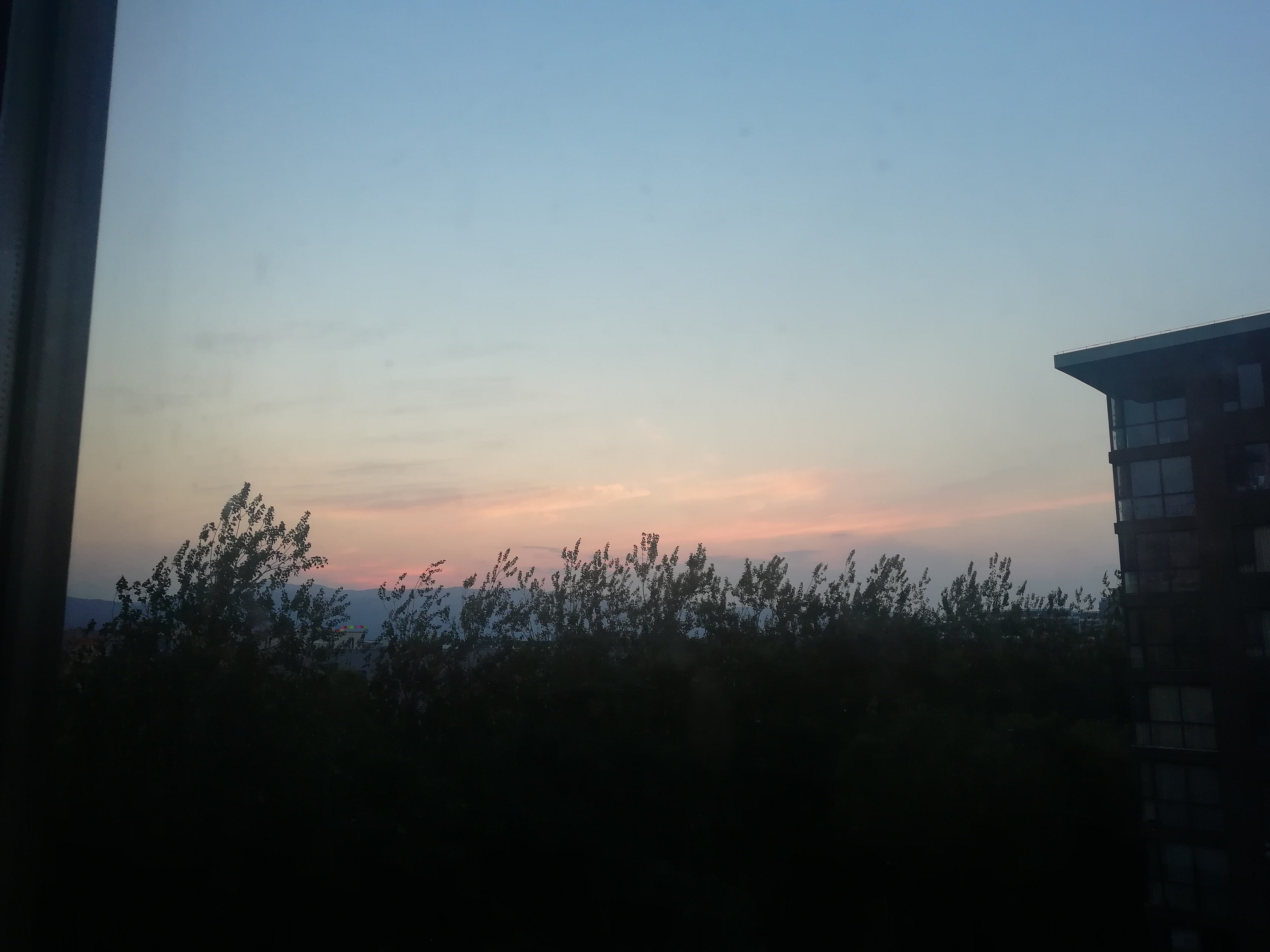 IMG_20210622_194630.jpg