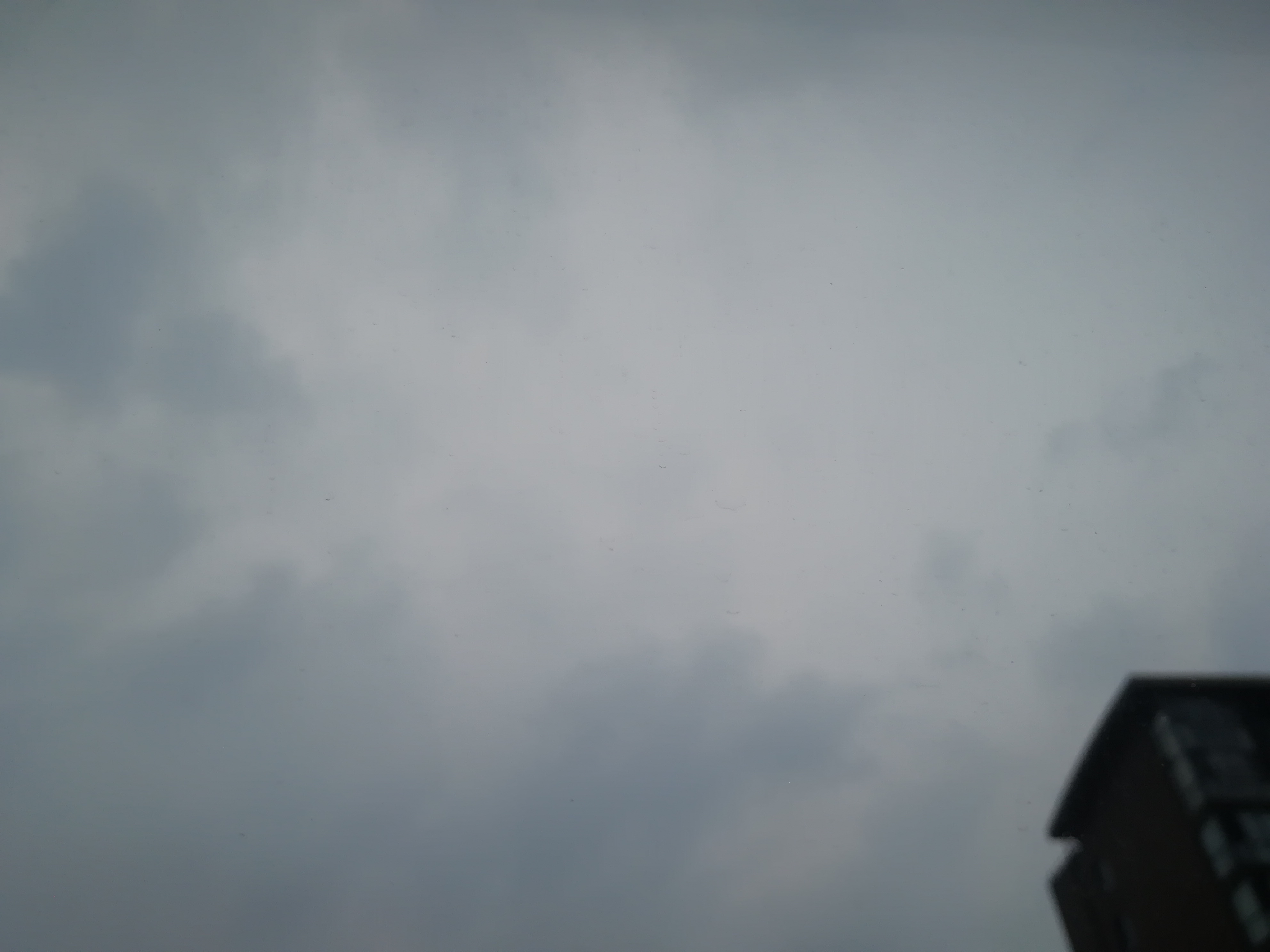 IMG_20210814_184602.jpg