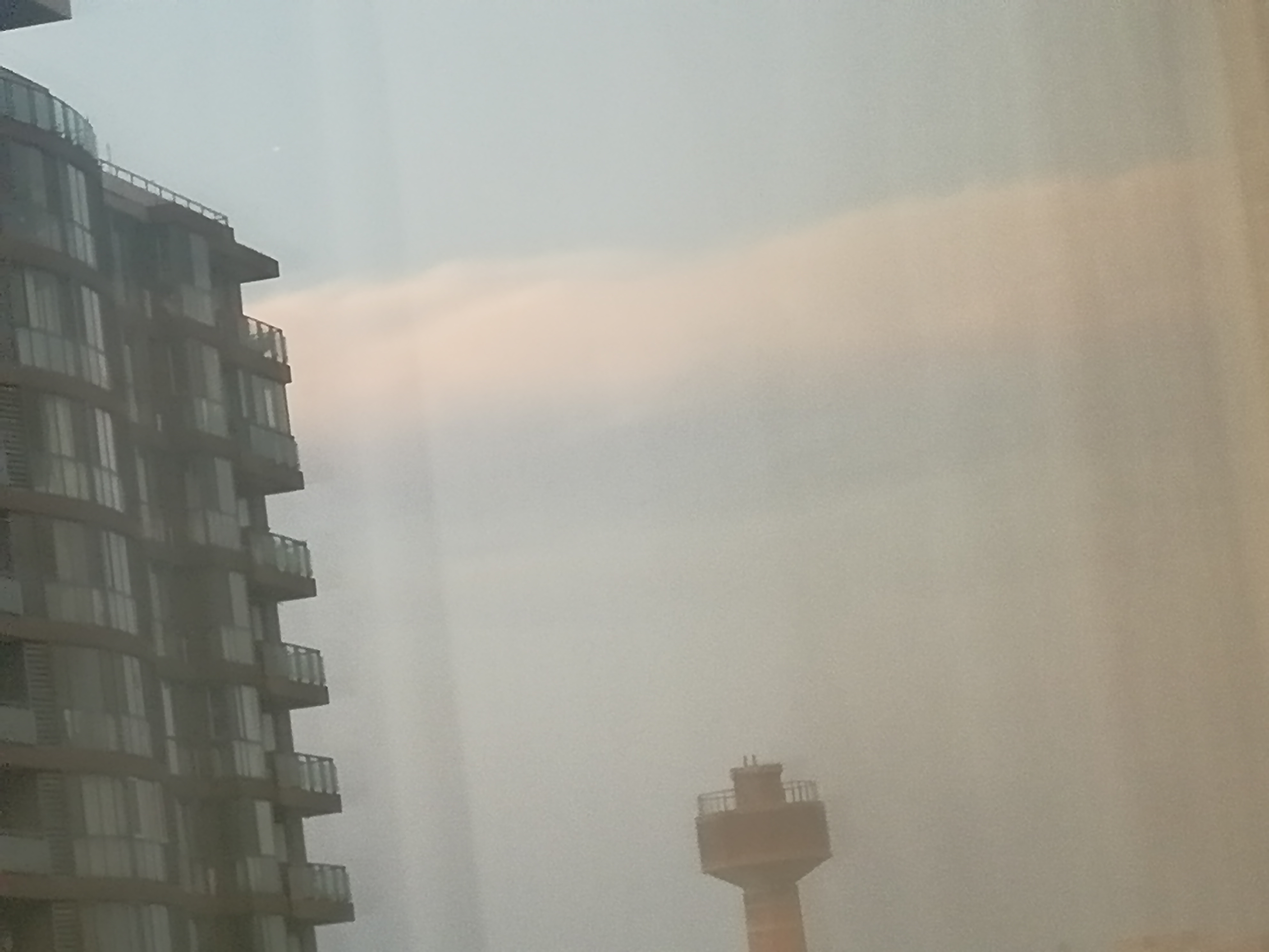 IMG_20210817_190222.jpg