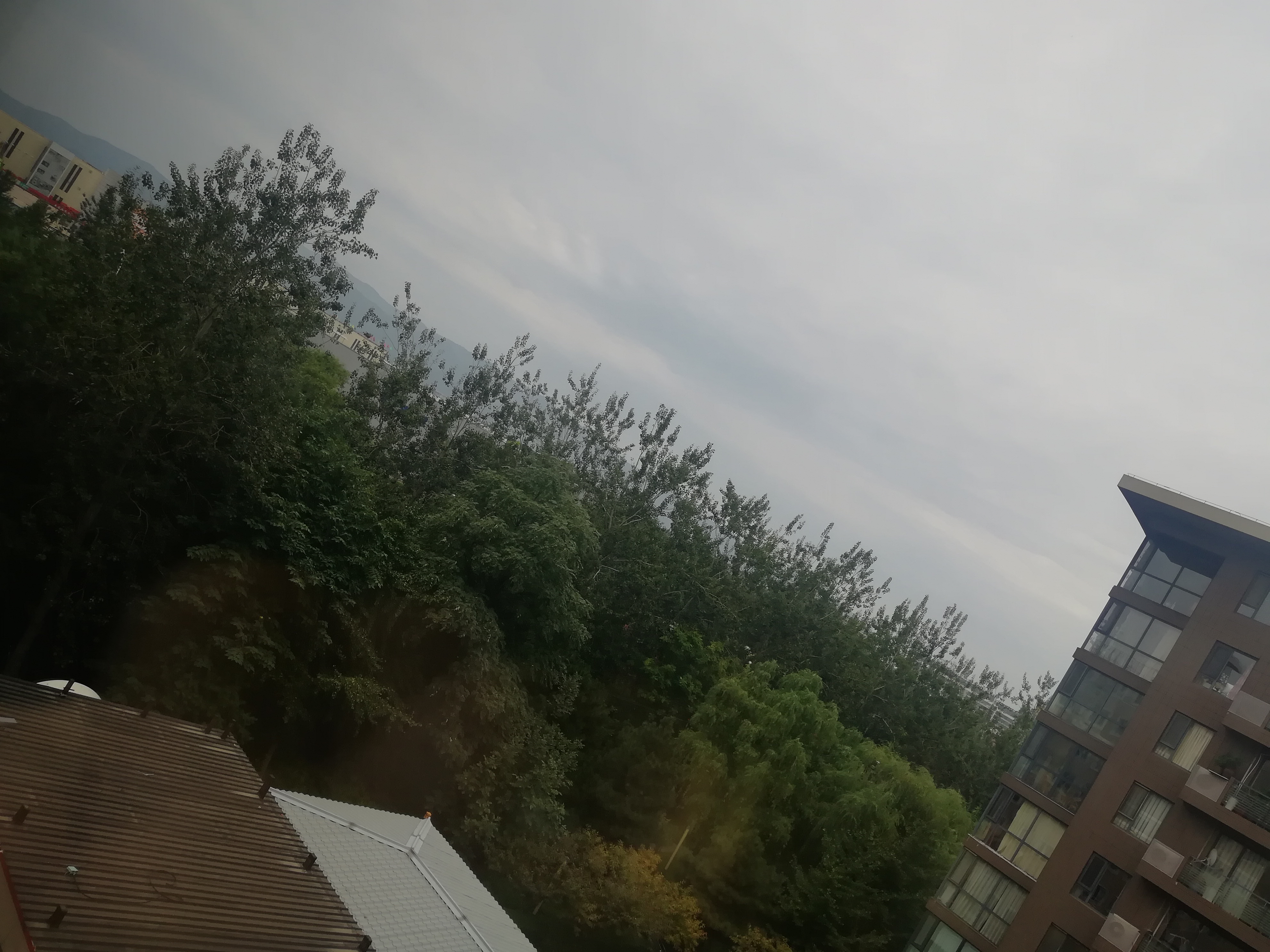 IMG_20210818_165617.jpg