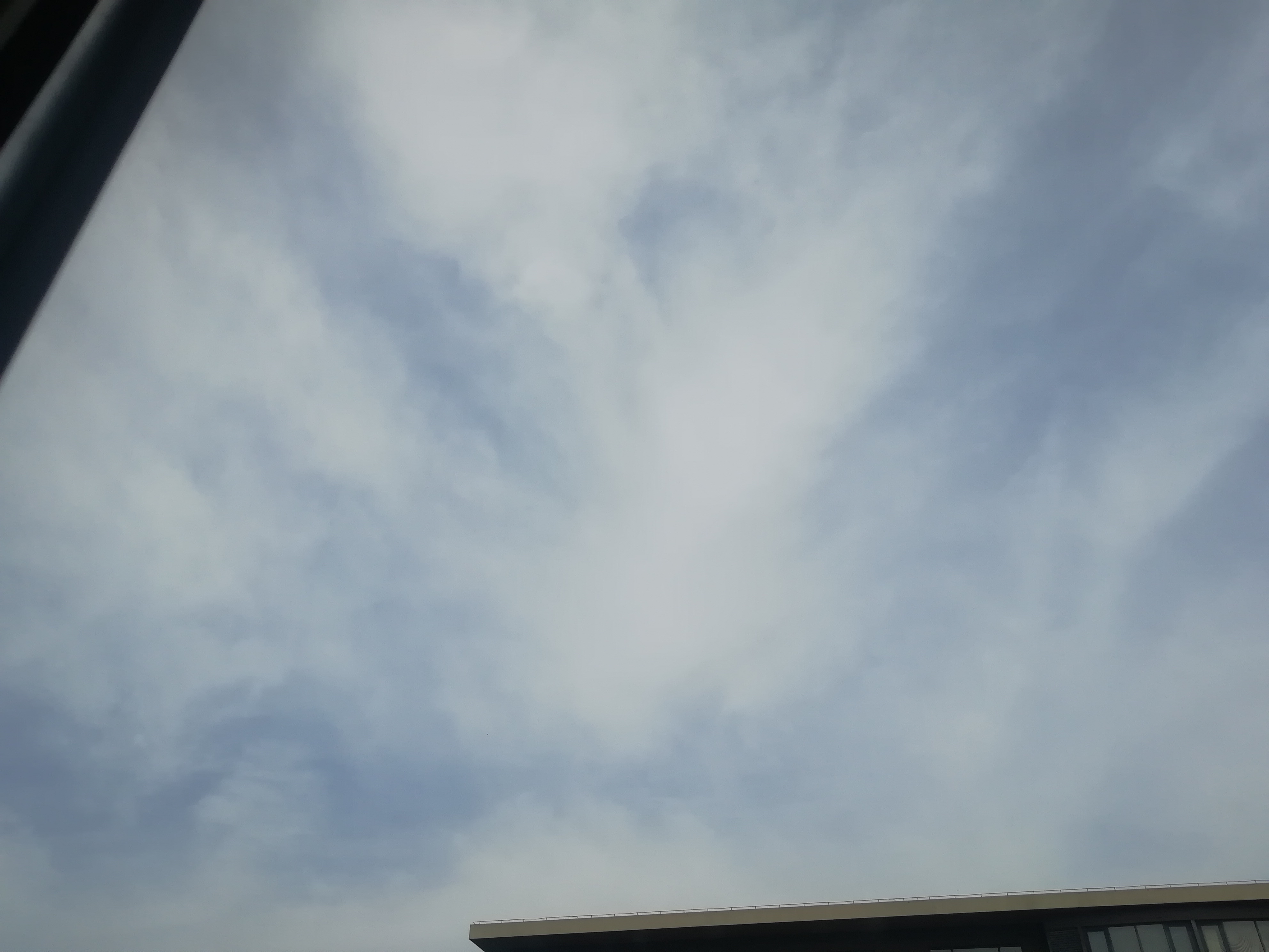 IMG_20210823_120146.jpg