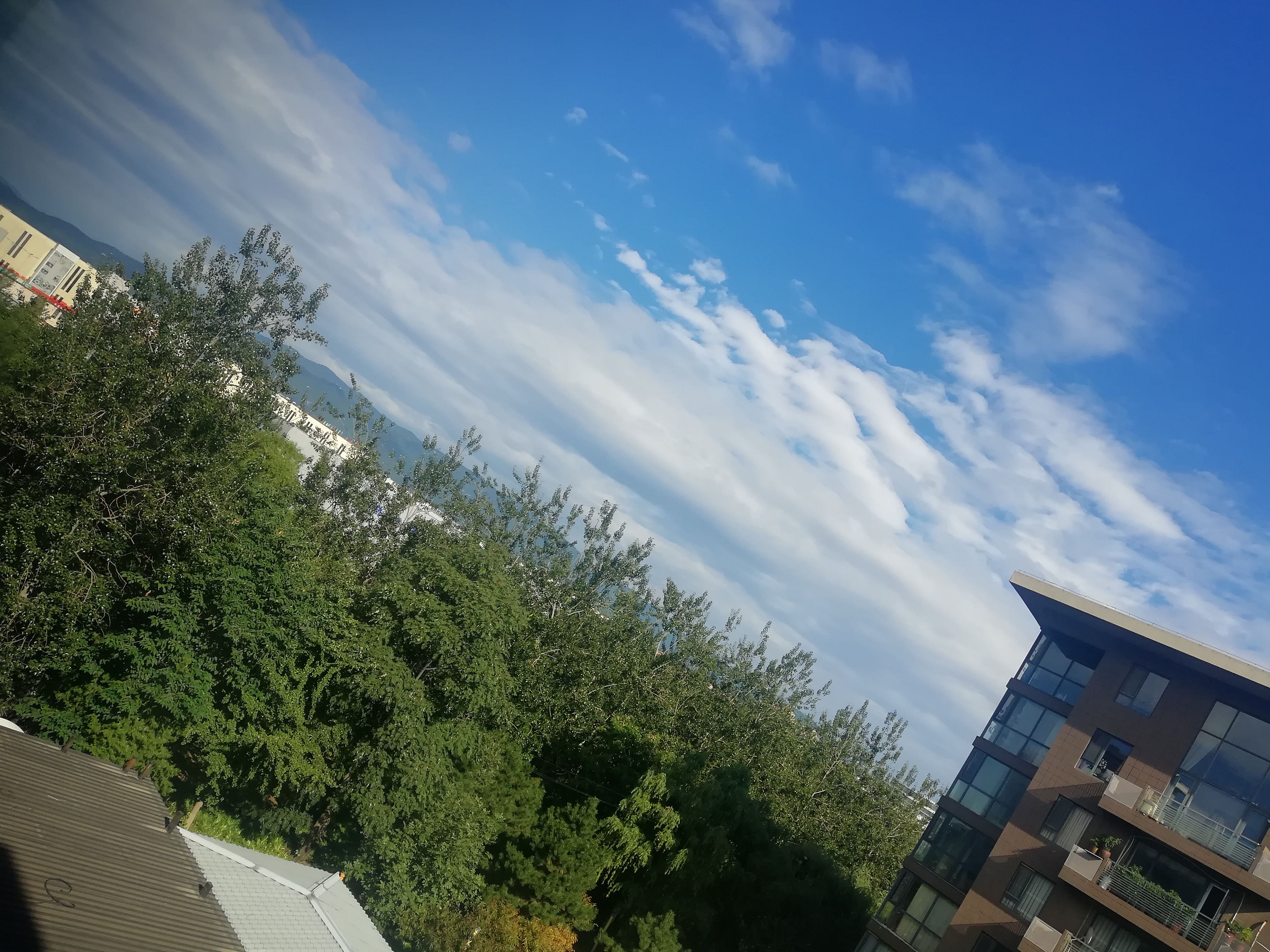 IMG_20210825_084818.jpg