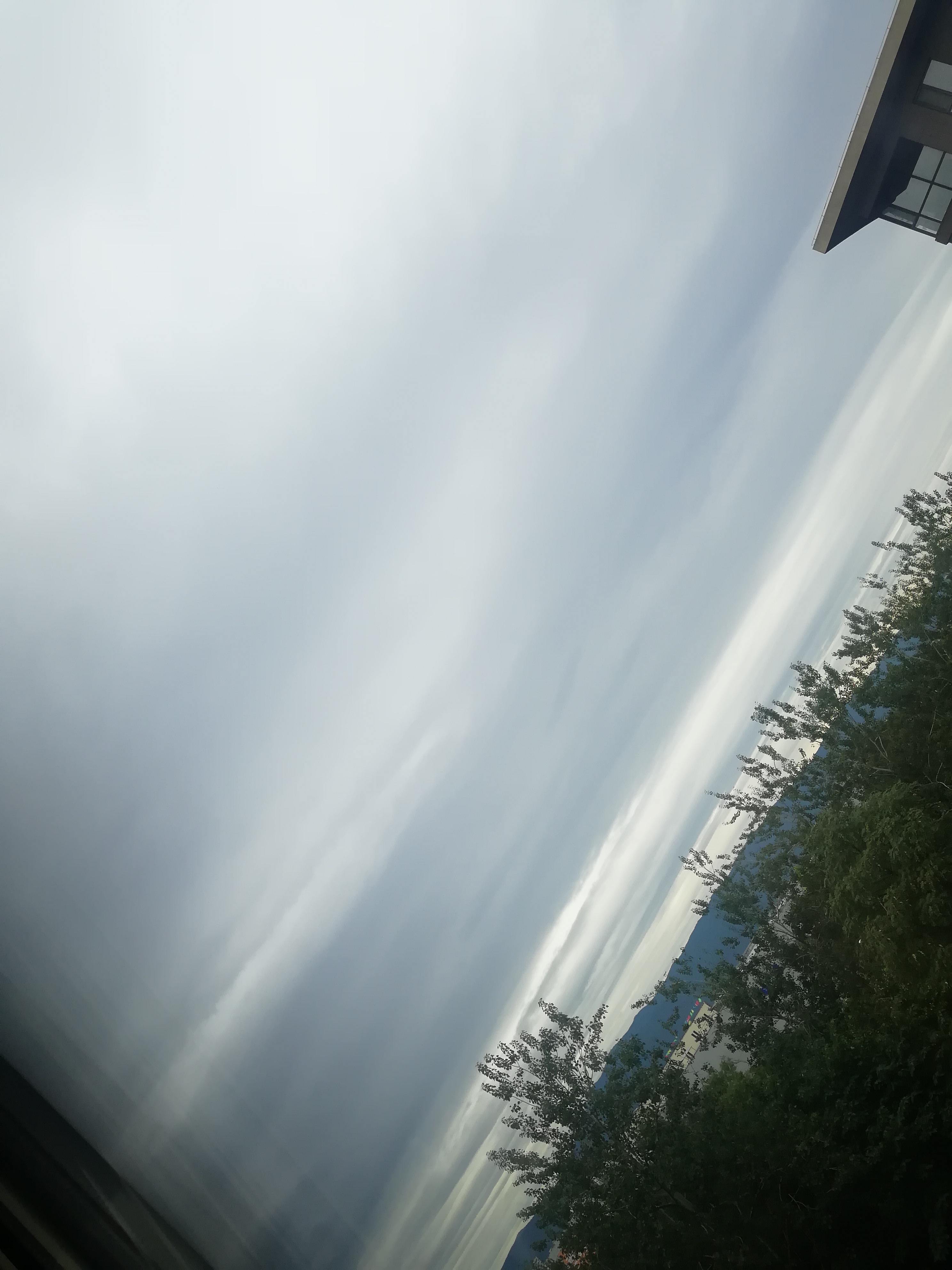 IMG_20210906_102135_1.jpg
