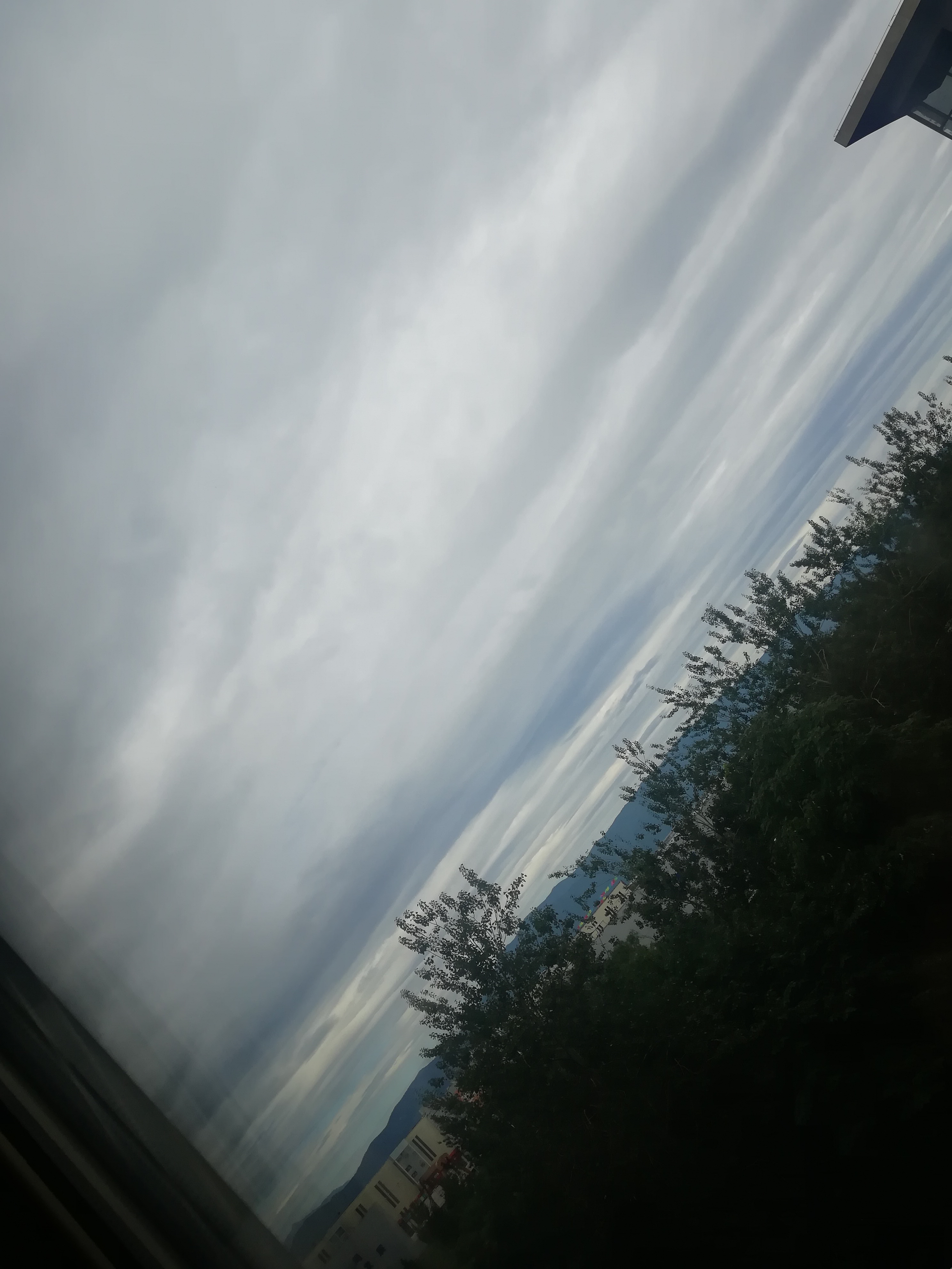 IMG_20210906_110037.jpg