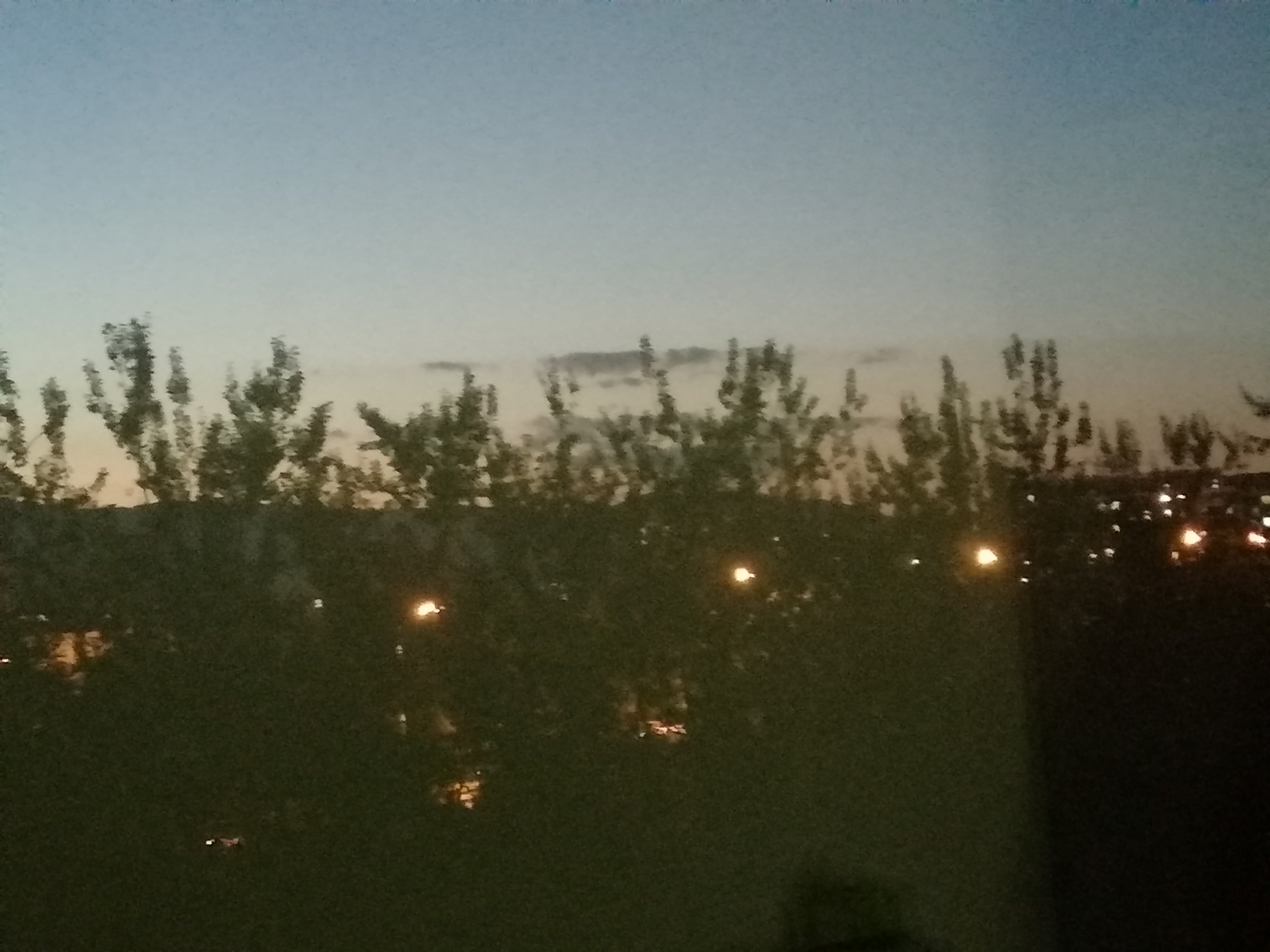 IMG_20210906_191658.jpg