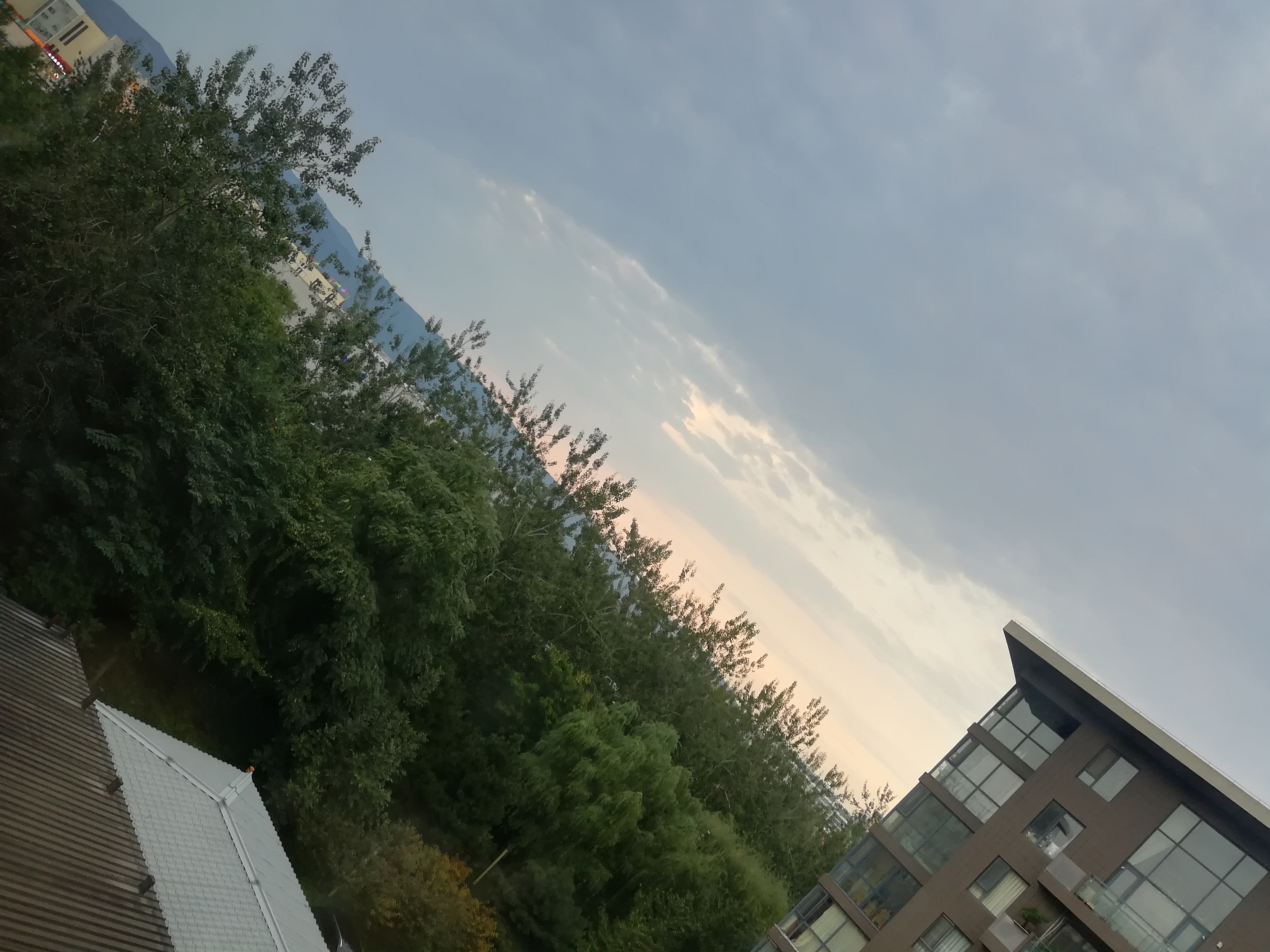 IMG_20210913_182008.jpg
