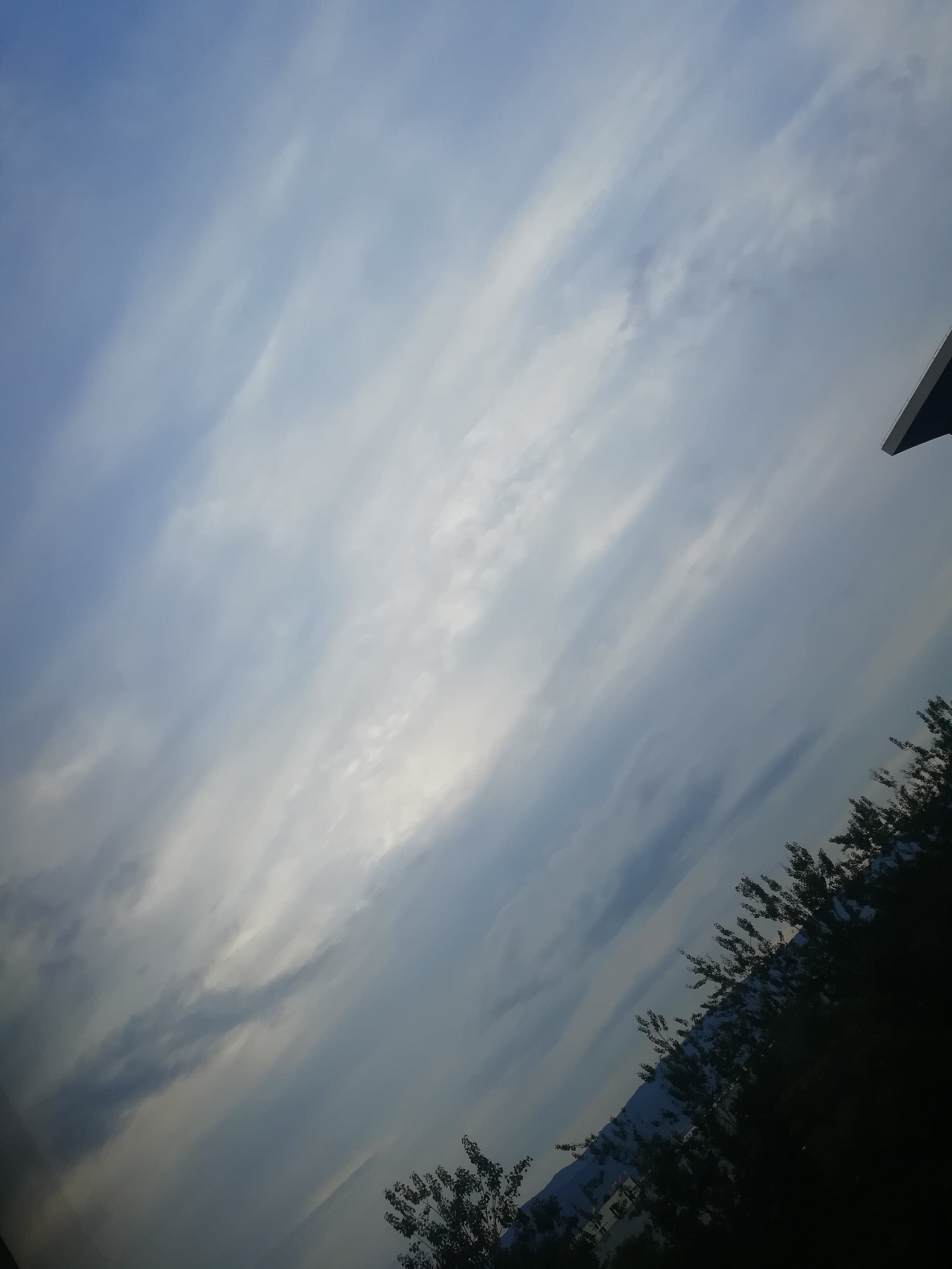 IMG_20210916_174527.jpg