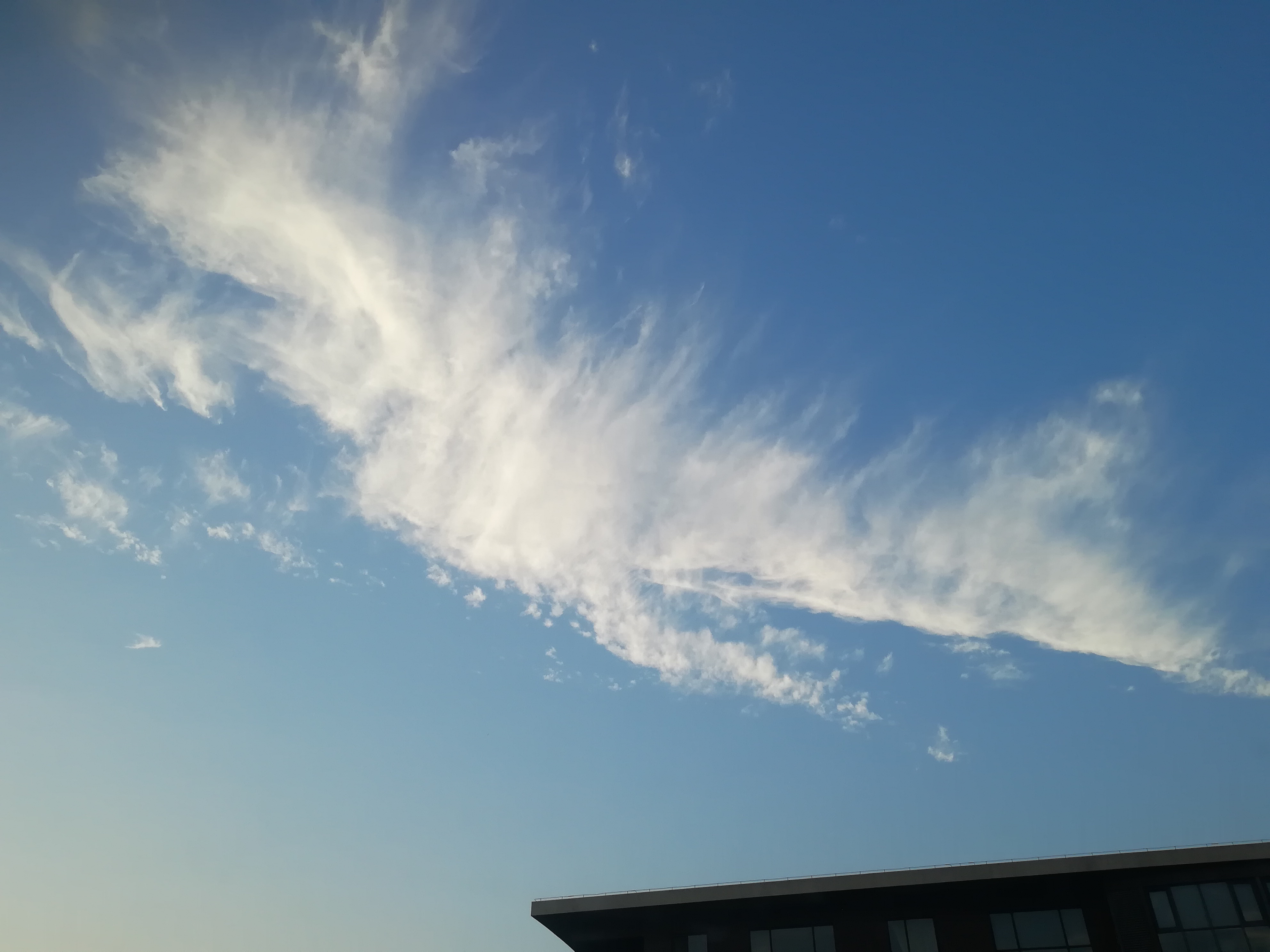 IMG_20210917_180848.jpg