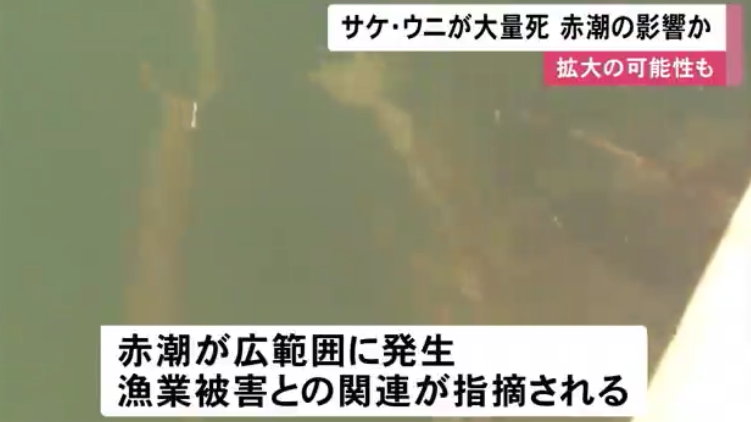 a6de37afb4d935b292eba587f439122cu1.png