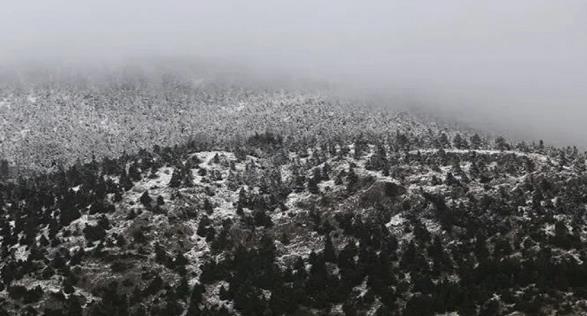 20211015233320121.jpg